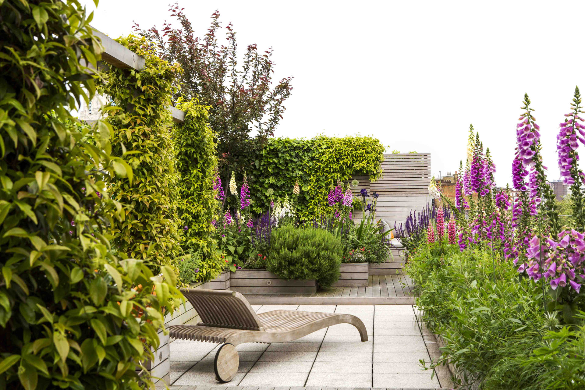 Regent’s Park Garden Design