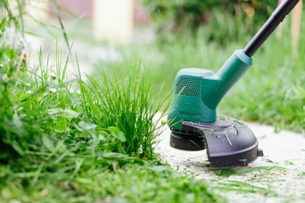 Seasonal Lawn Care Guide: Winter Prep to Summer Maintenance