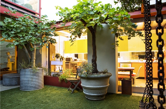 Linking your kitchen and garden