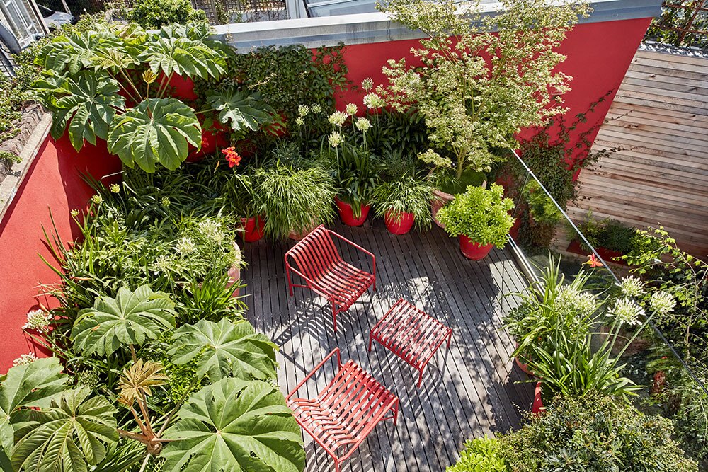 Islington Garden - aerial alt