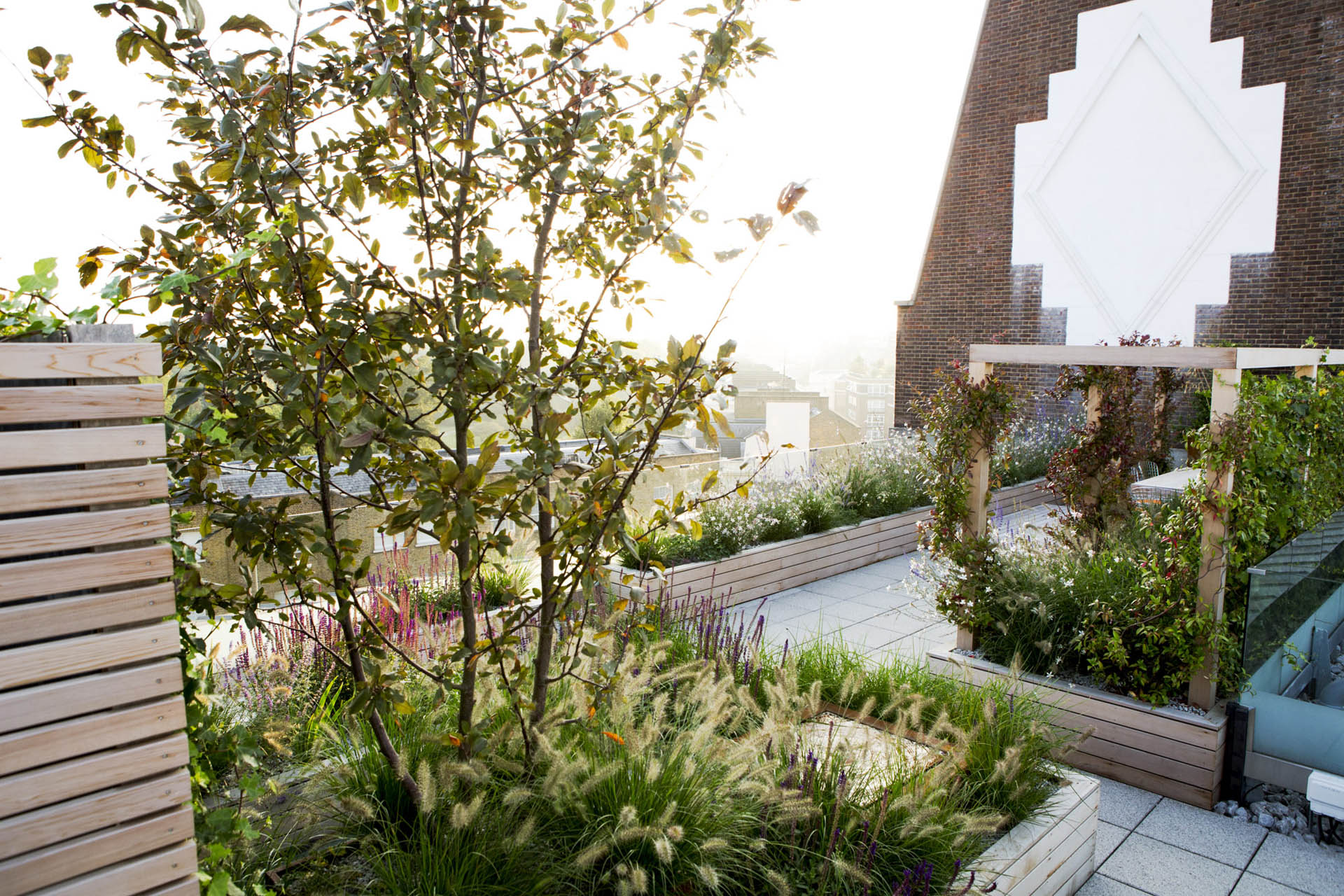 Regent’s Park Garden Design