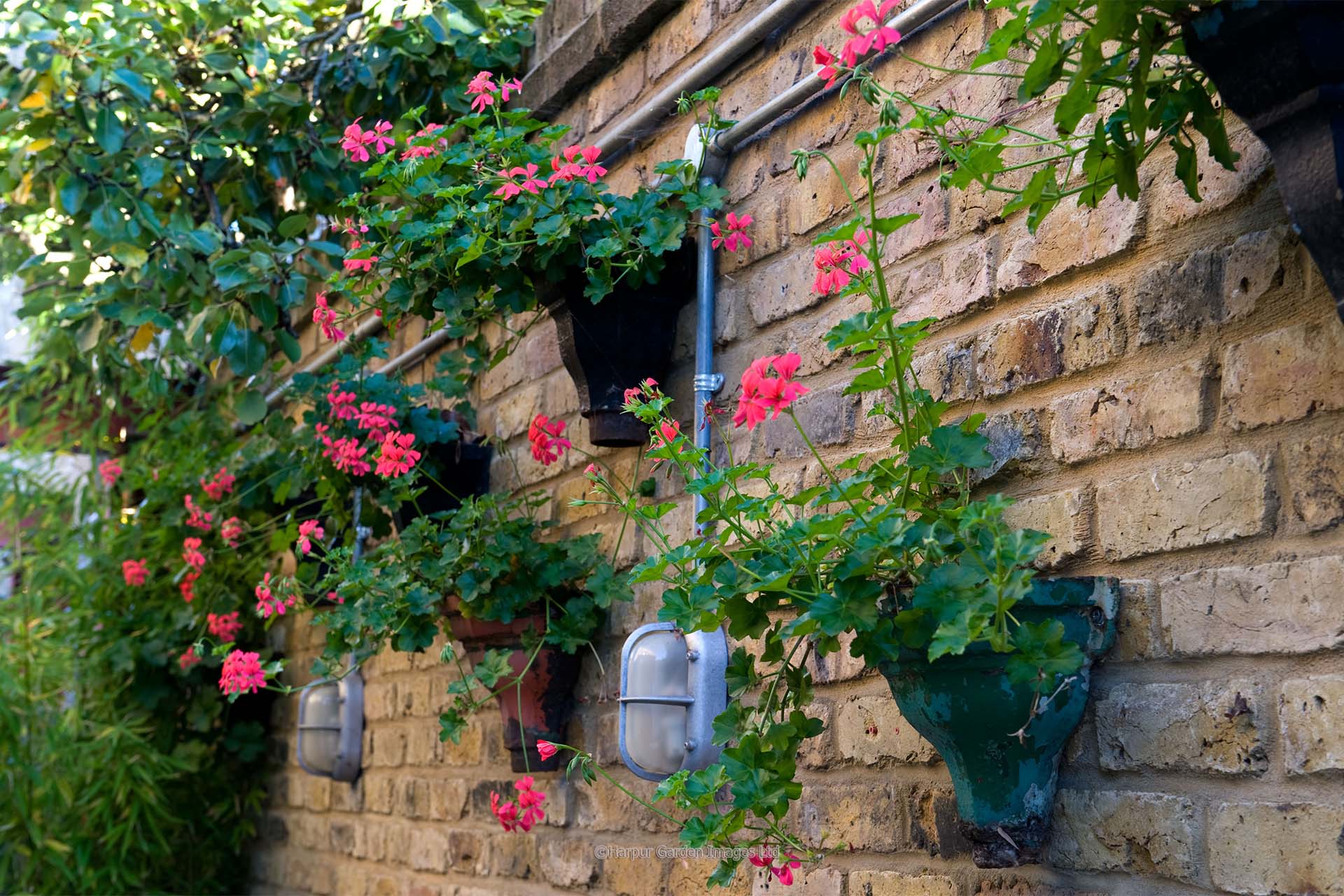 The Difference Between Gardening and Landscaping