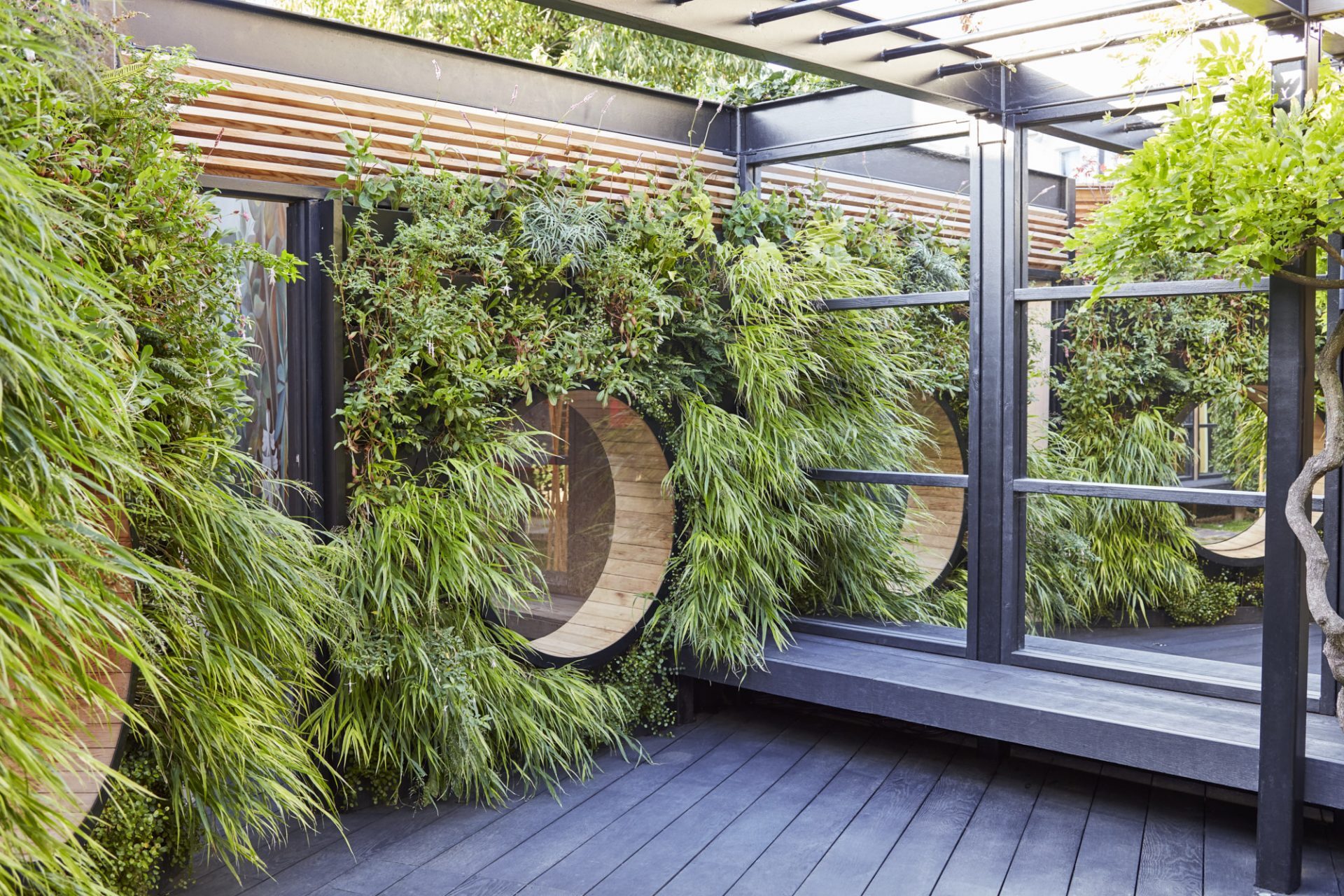 Windows looking into garden