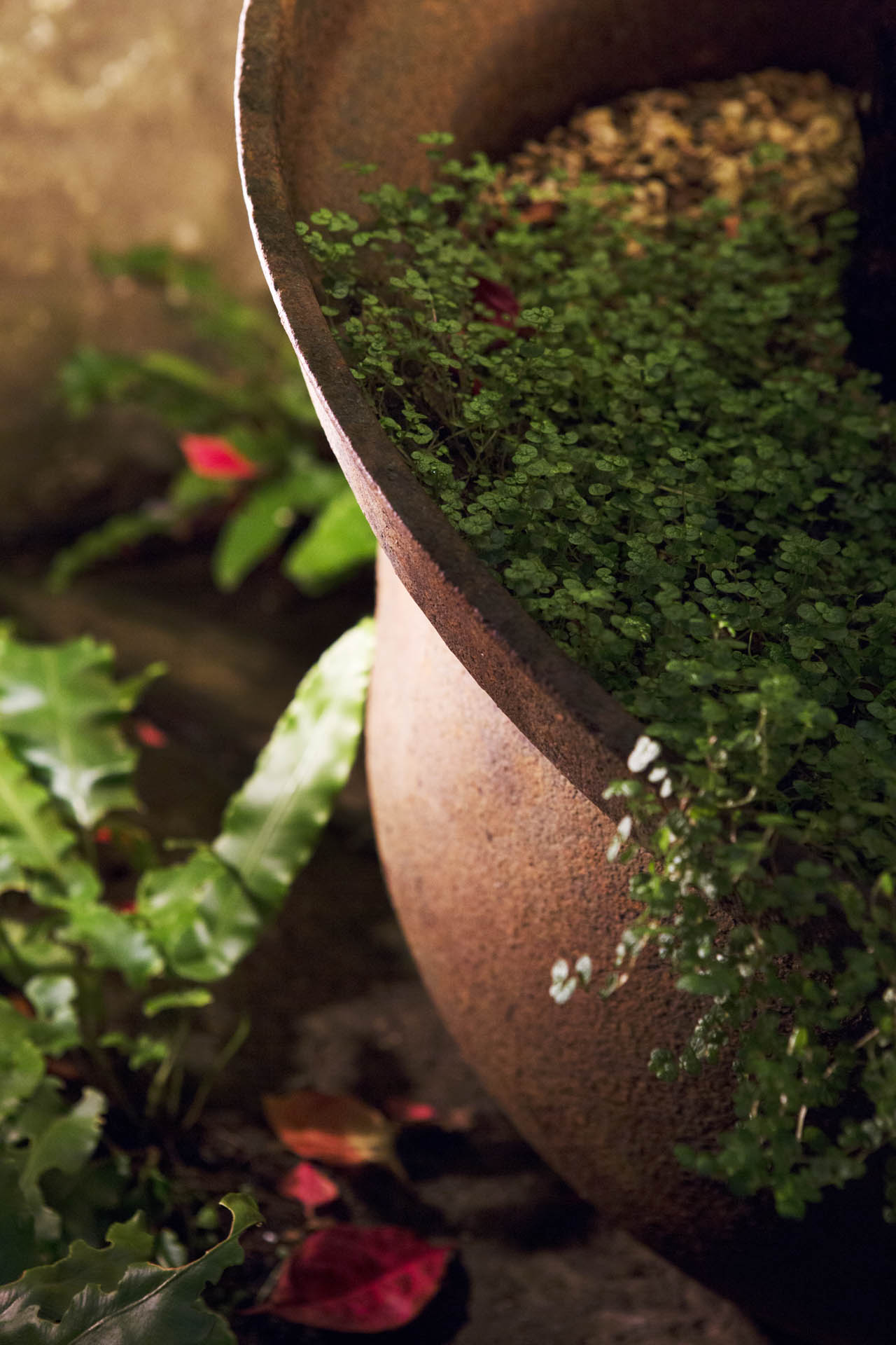 Kensal Green Garden Design