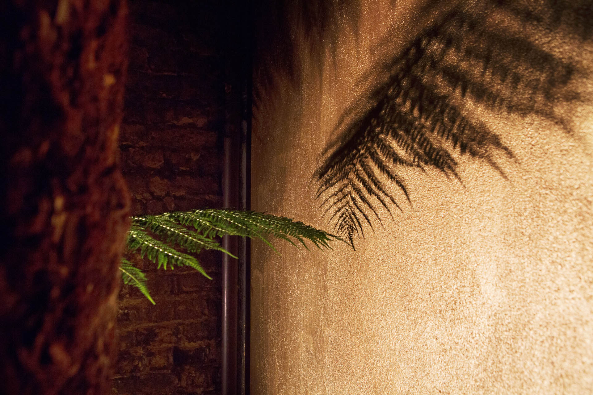 Kensal Green Garden Design