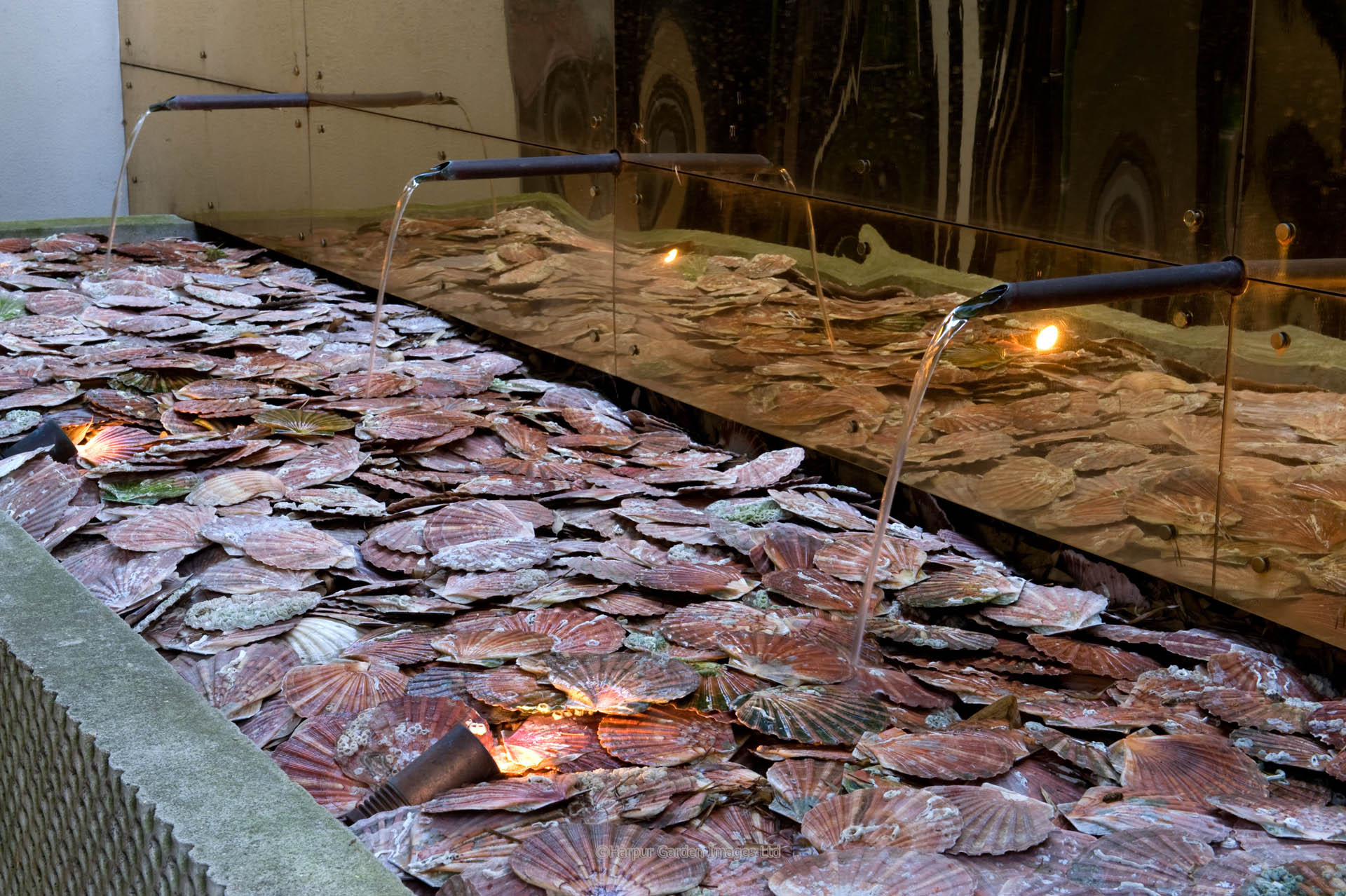 Kensal Green Garden Design