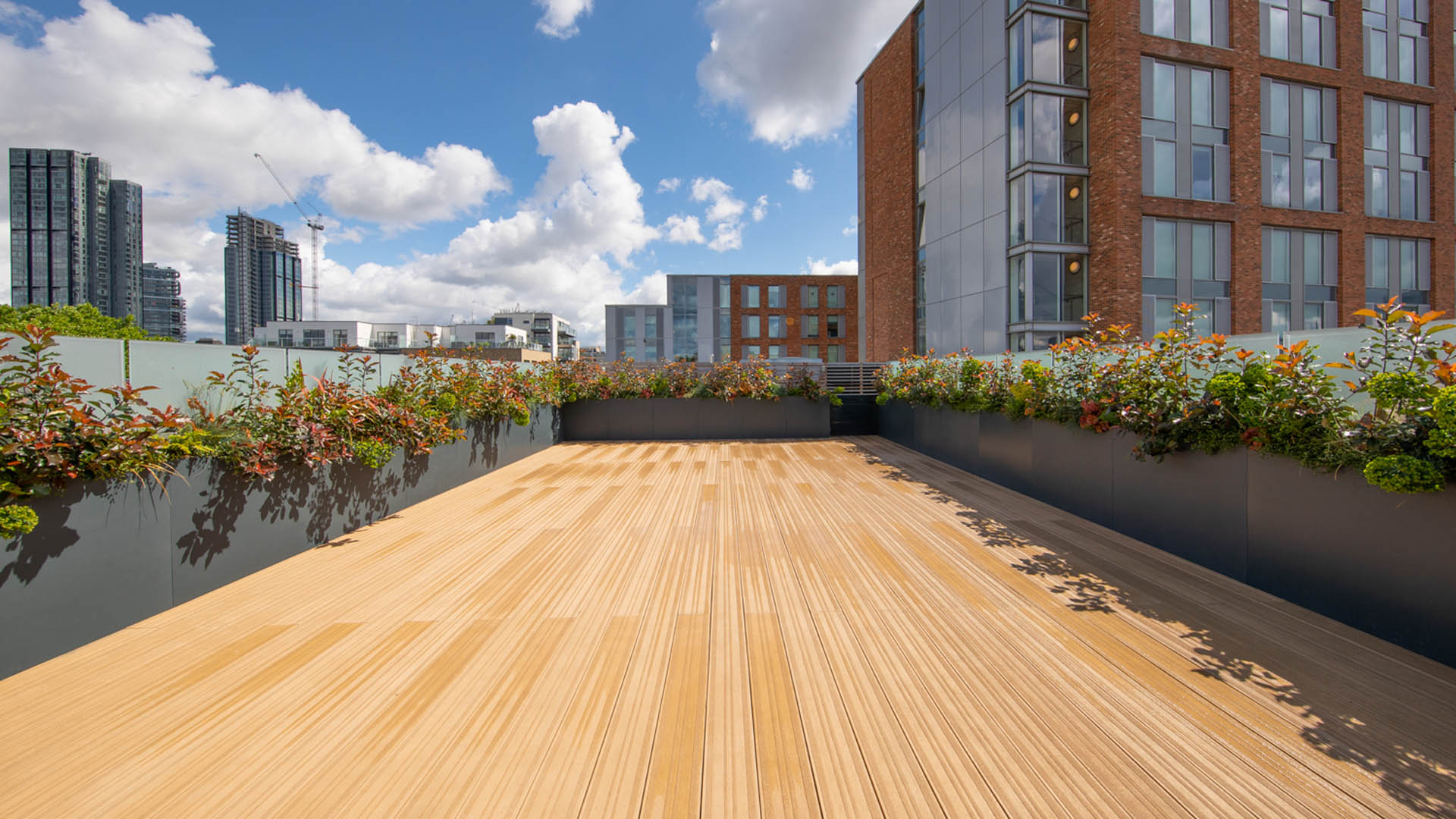 Clerkenwell Office Rooftop Garden Design
