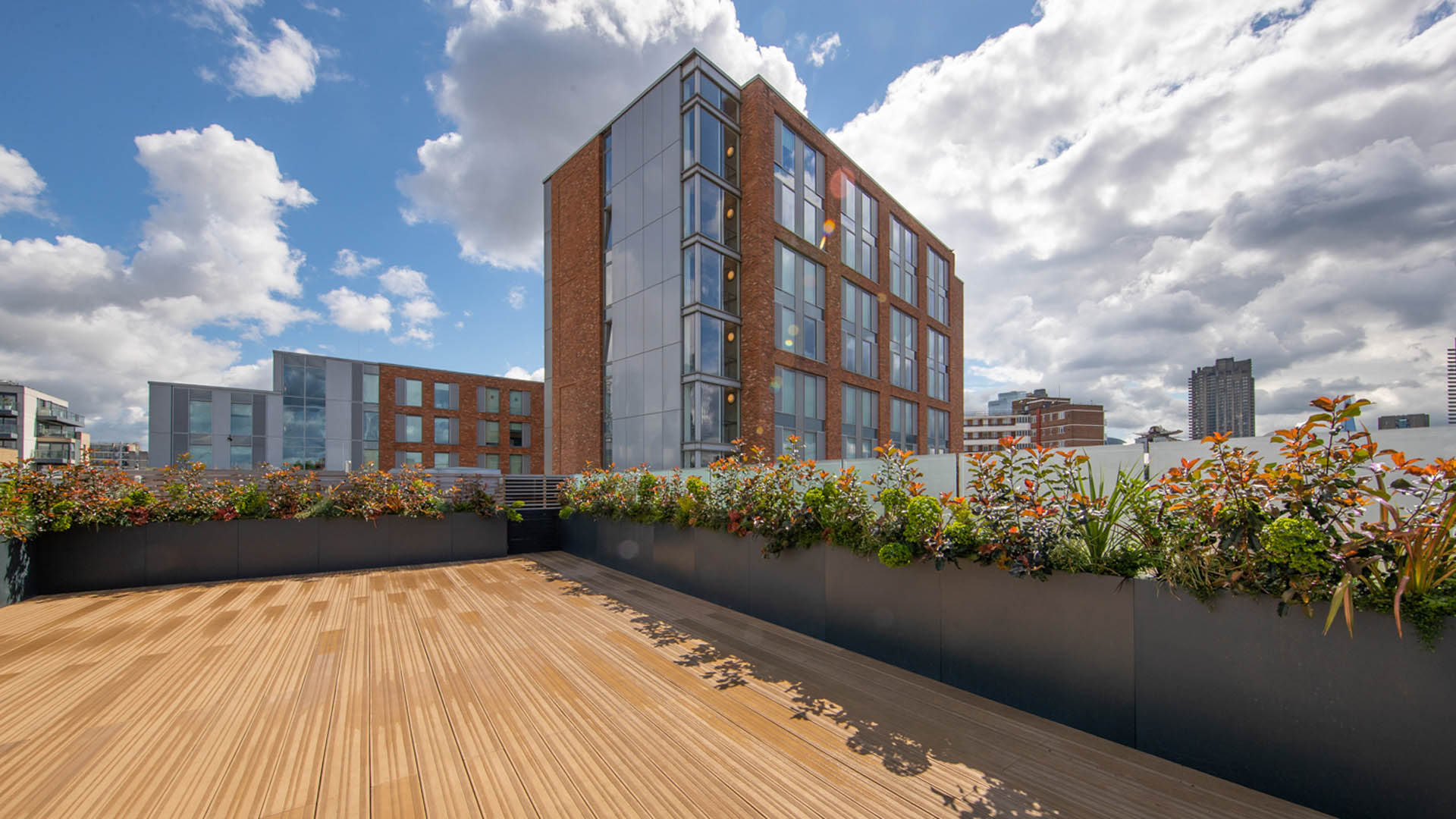 Clerkenwell Office Rooftop Garden Design - Commercial Gardens