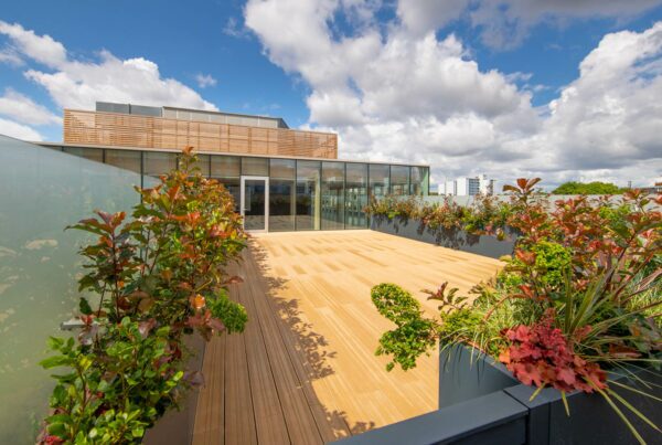 Clerkenwell Office Rooftop Garden Design
