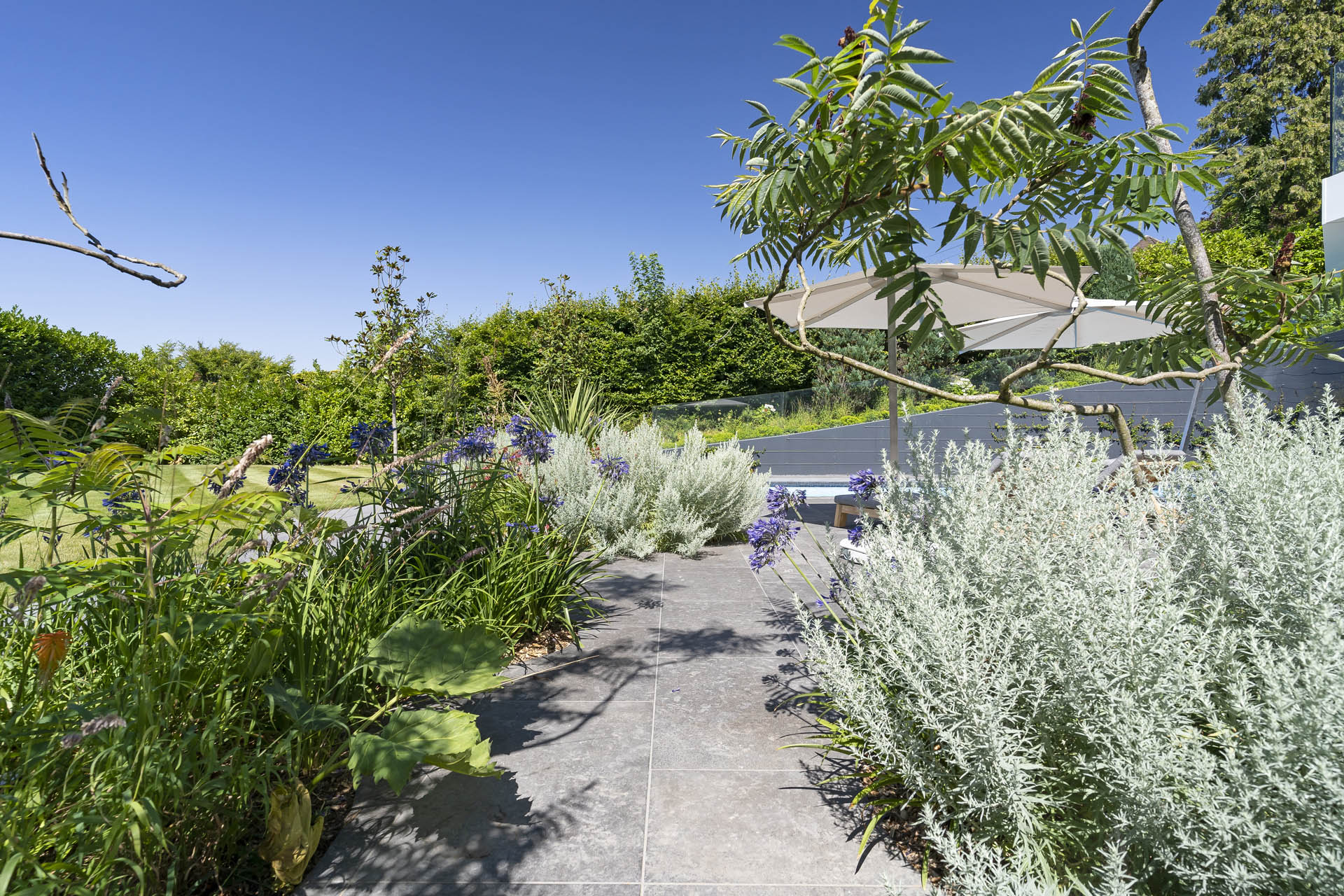 Guildford Garden Design