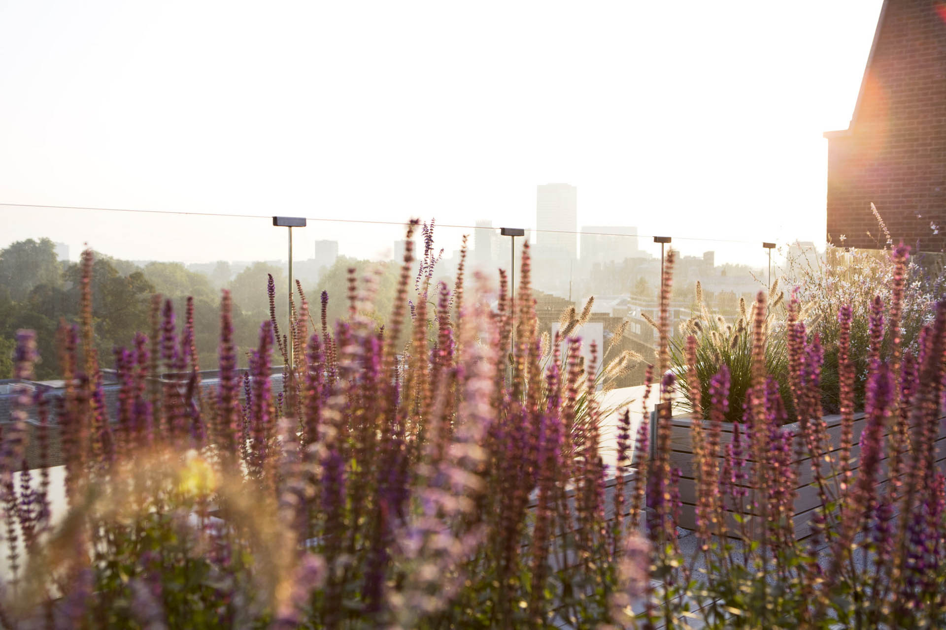 Regent’s Park Garden Design