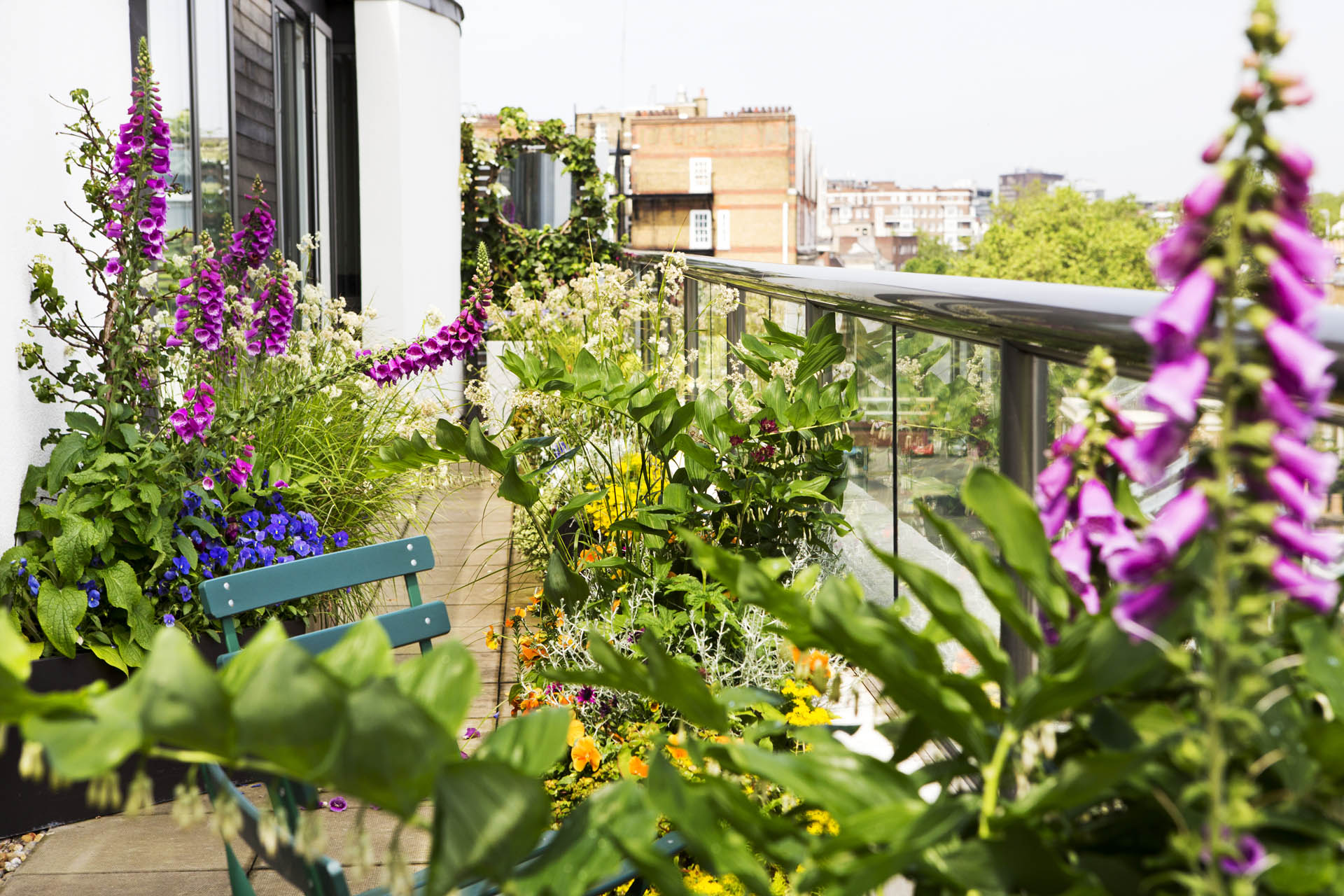 Regent’s Park Garden Design
