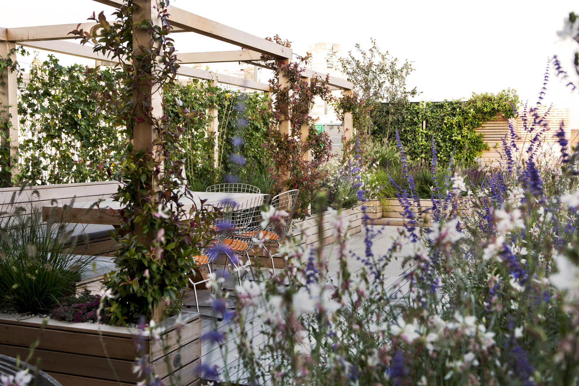 Regent’s Park Garden Design