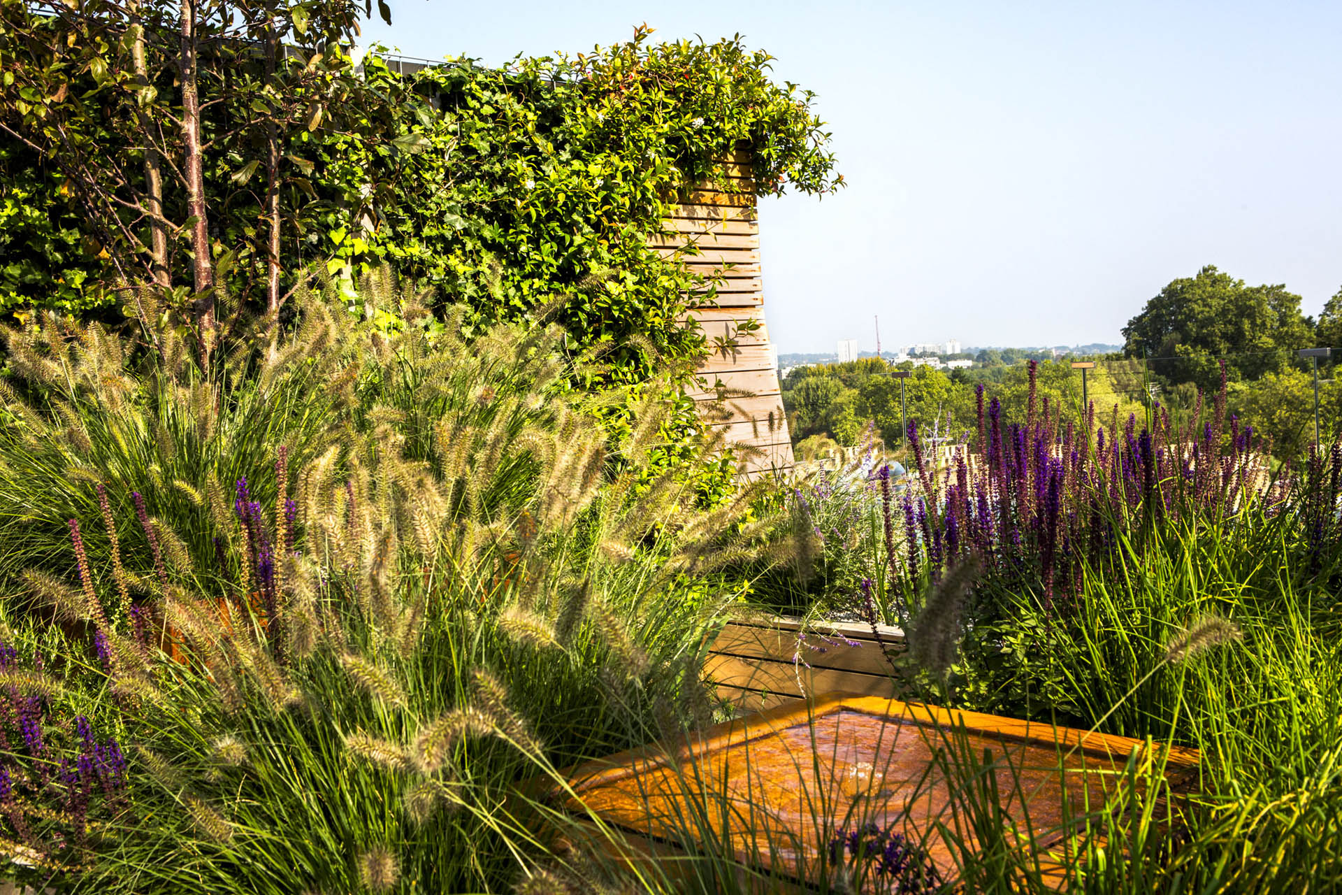 Regent’s Park Garden Design