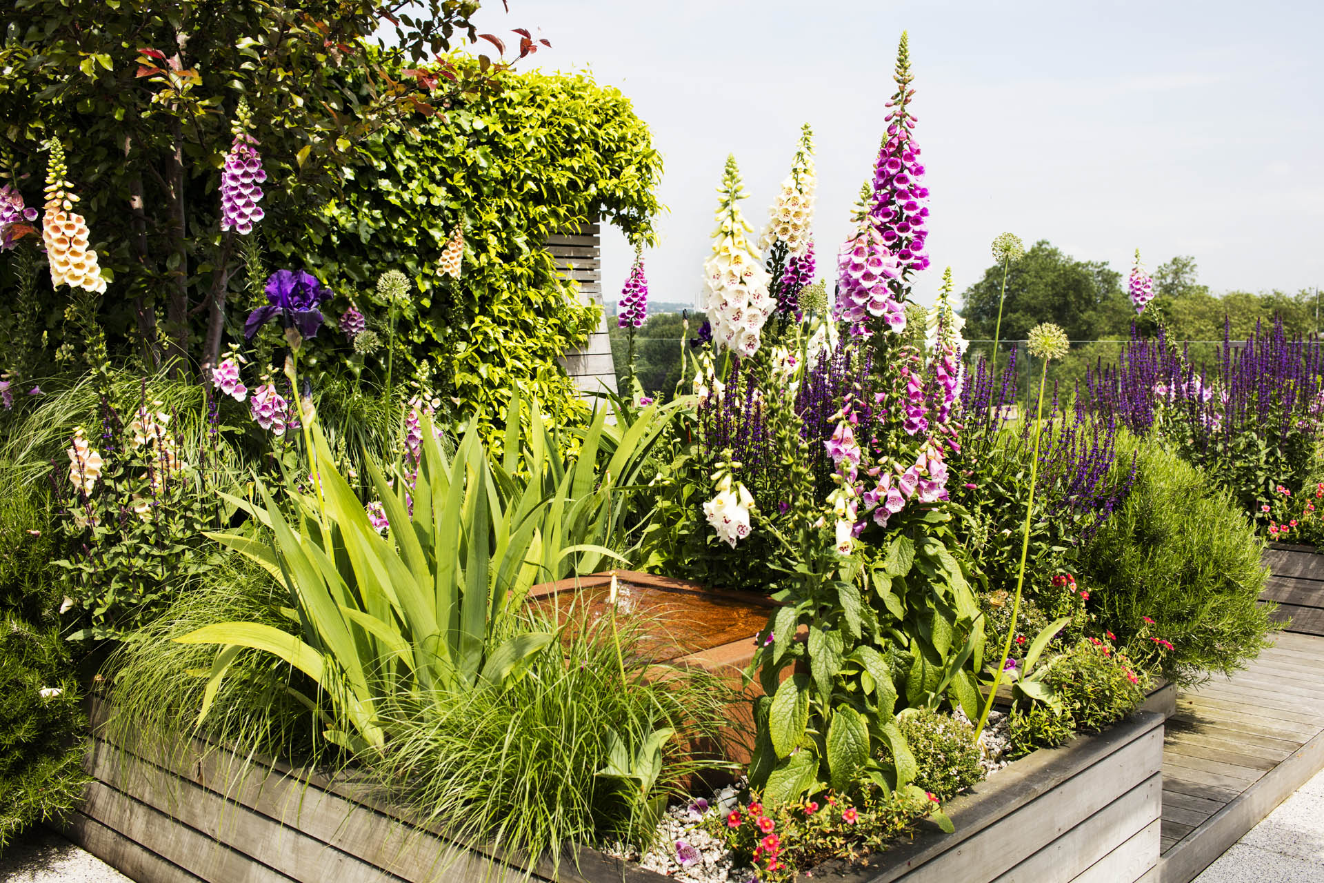Regent’s Park Garden Design