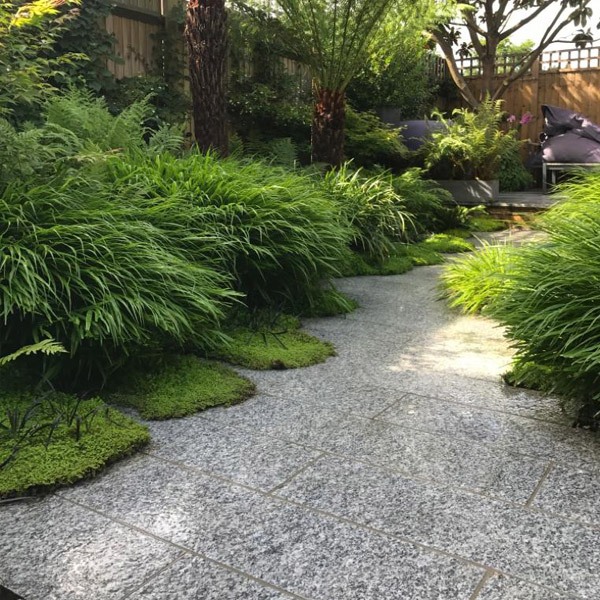 side garden