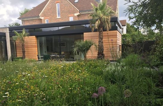 Pro watering tips from Town & Country Gardens