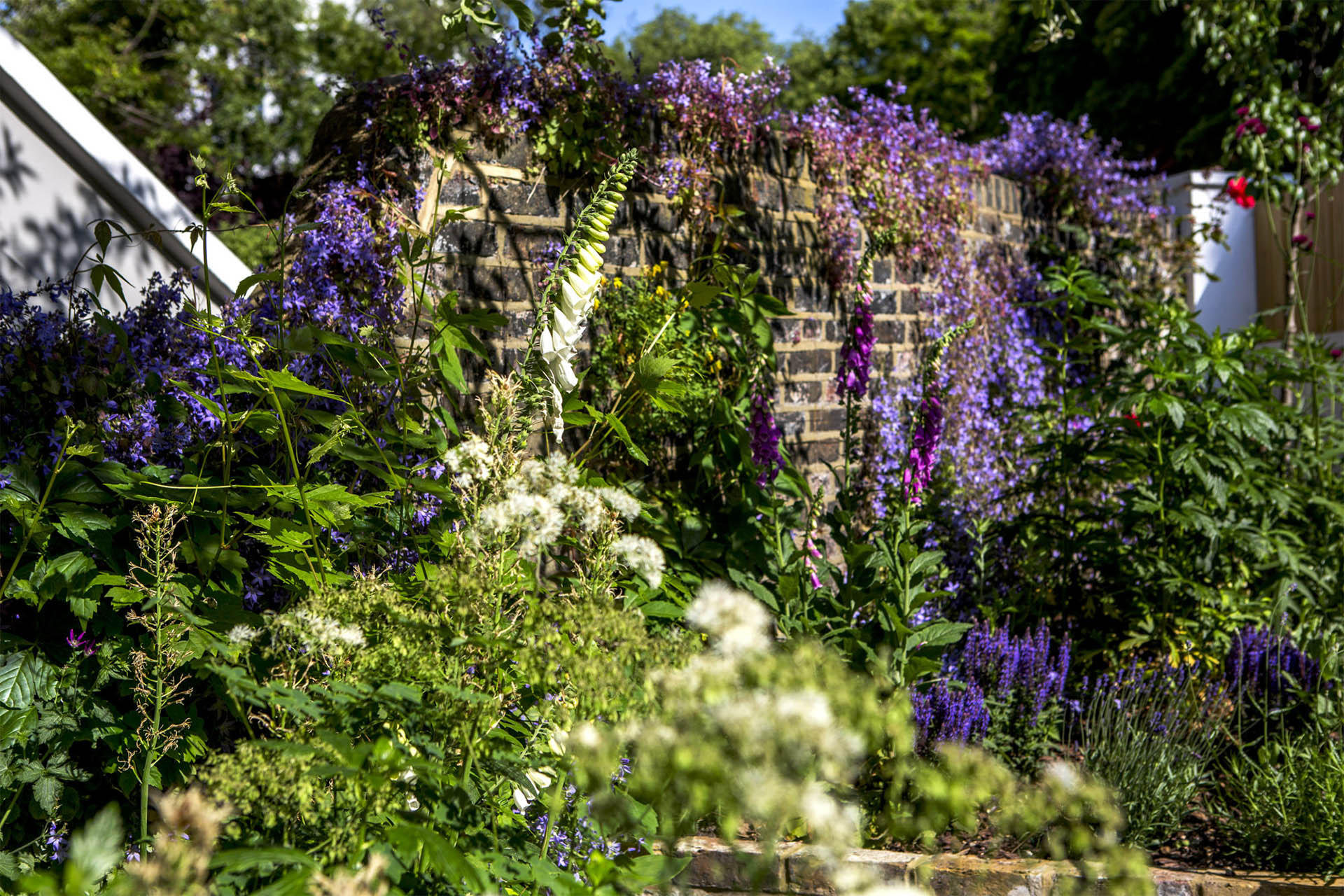 The Best Landscaping Ideas for a Low-Maintenance Garden