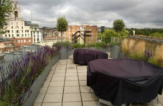 Planning a garden space you can use in the colder months