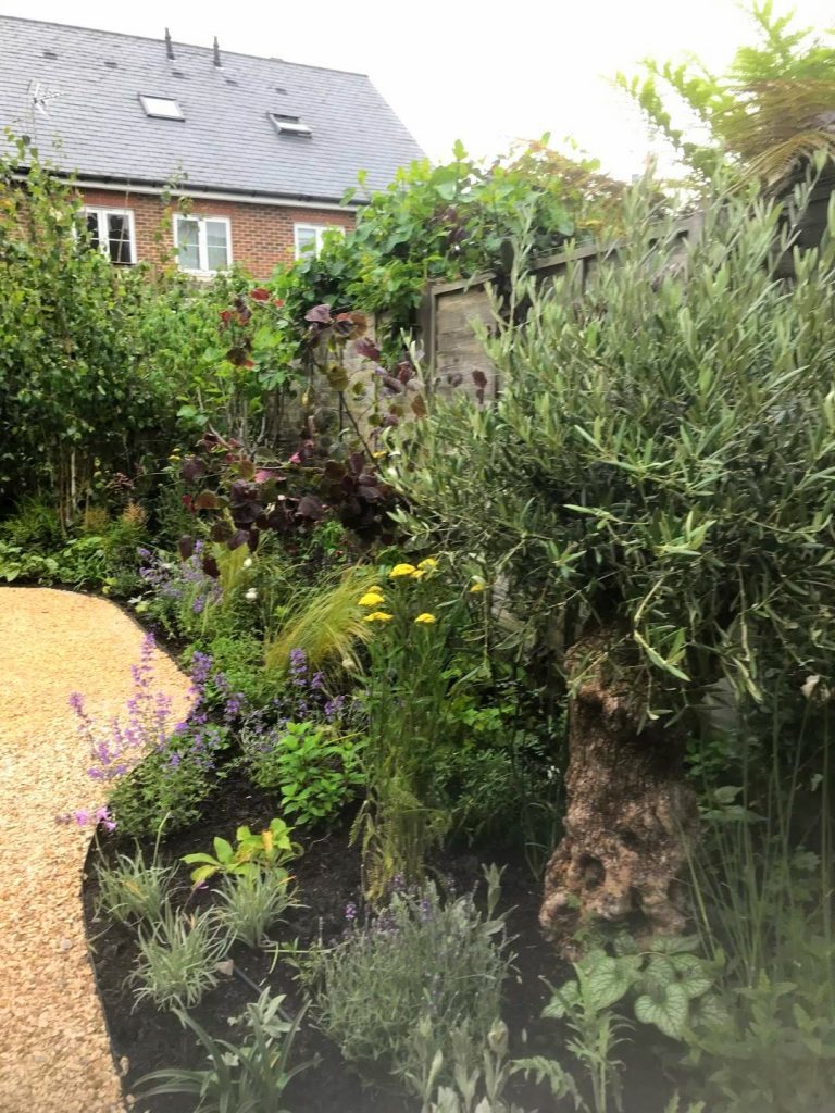 Garden Maintenance - How To Prepare Garden For Winter