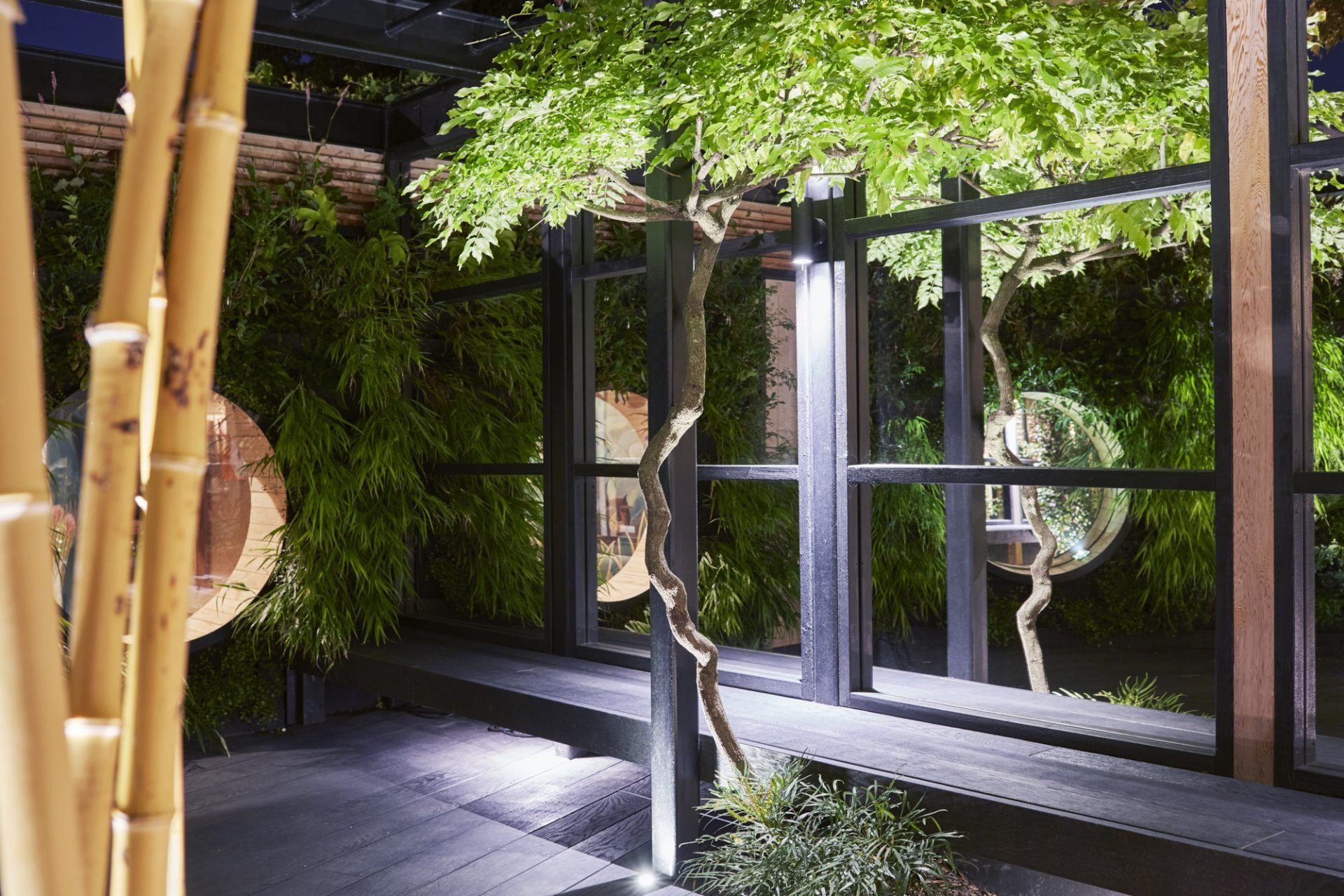 Windows looking into garden