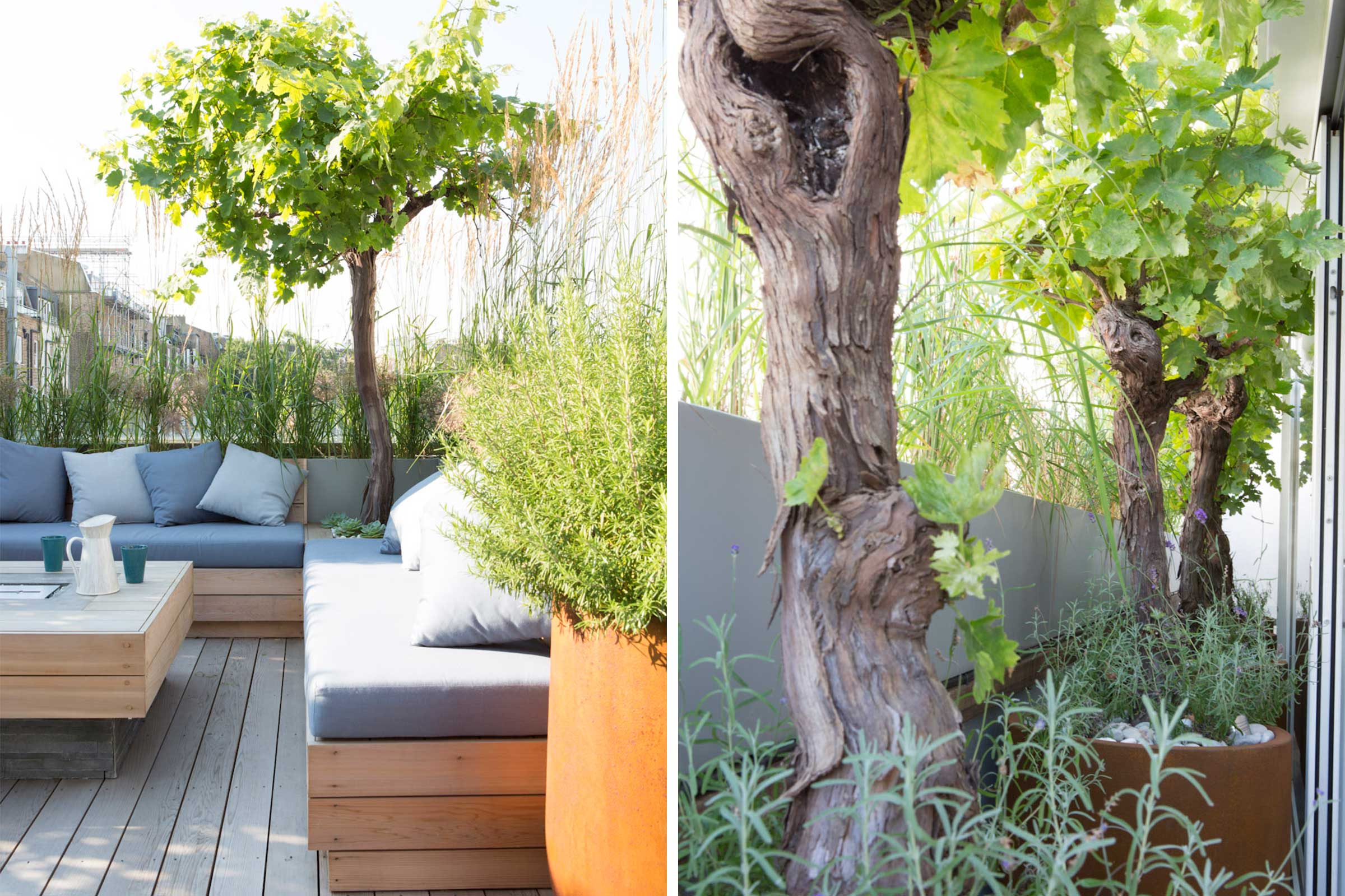 Plants and corner seating in garden