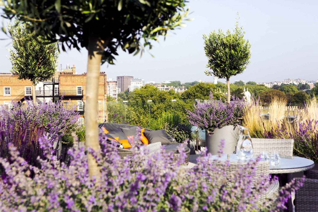 Allsop place garden - autumn gardening tips