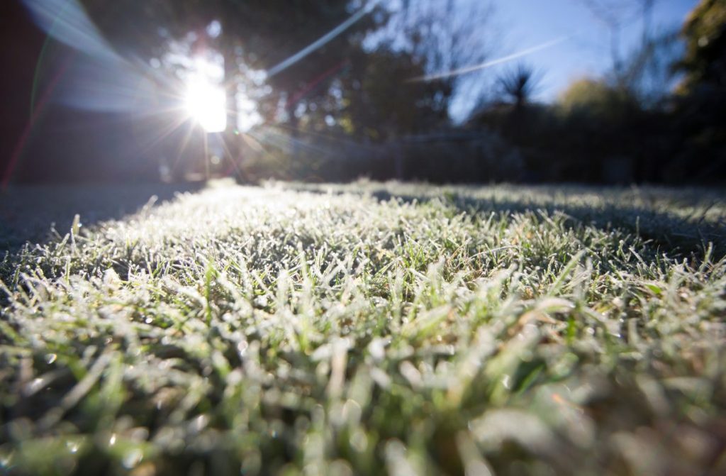 Winter Lawn Treatment: How to Keep a Healthy Turf