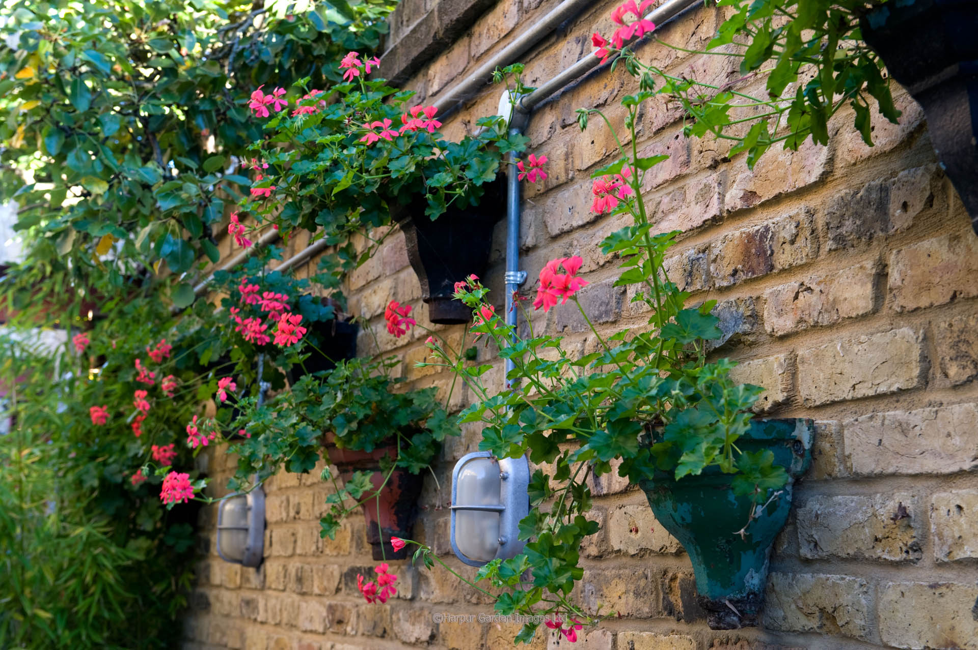 Kensal Green Garden Design