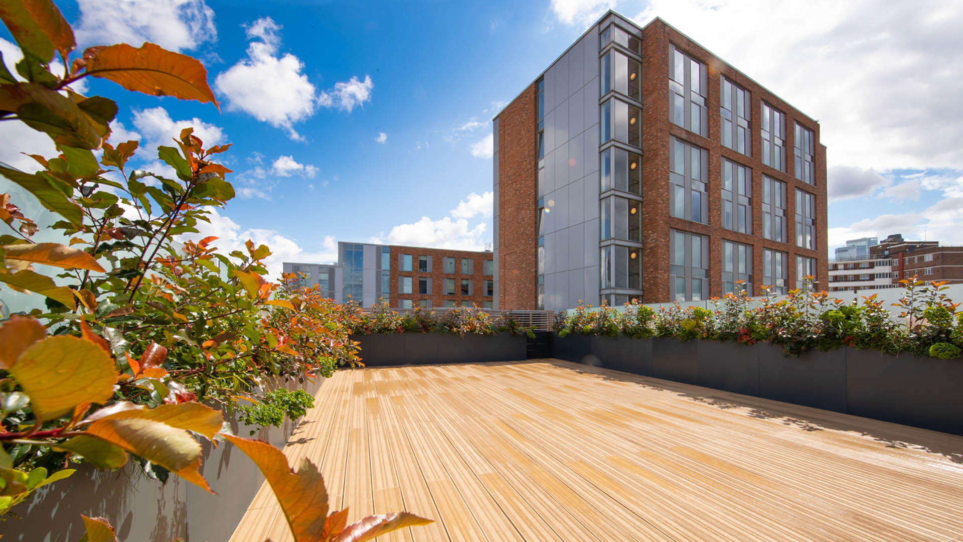 Clerkenwell Office Rooftop Garden Design