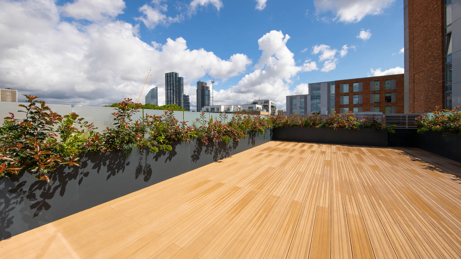 Clerkenwell Office Rooftop Garden Design