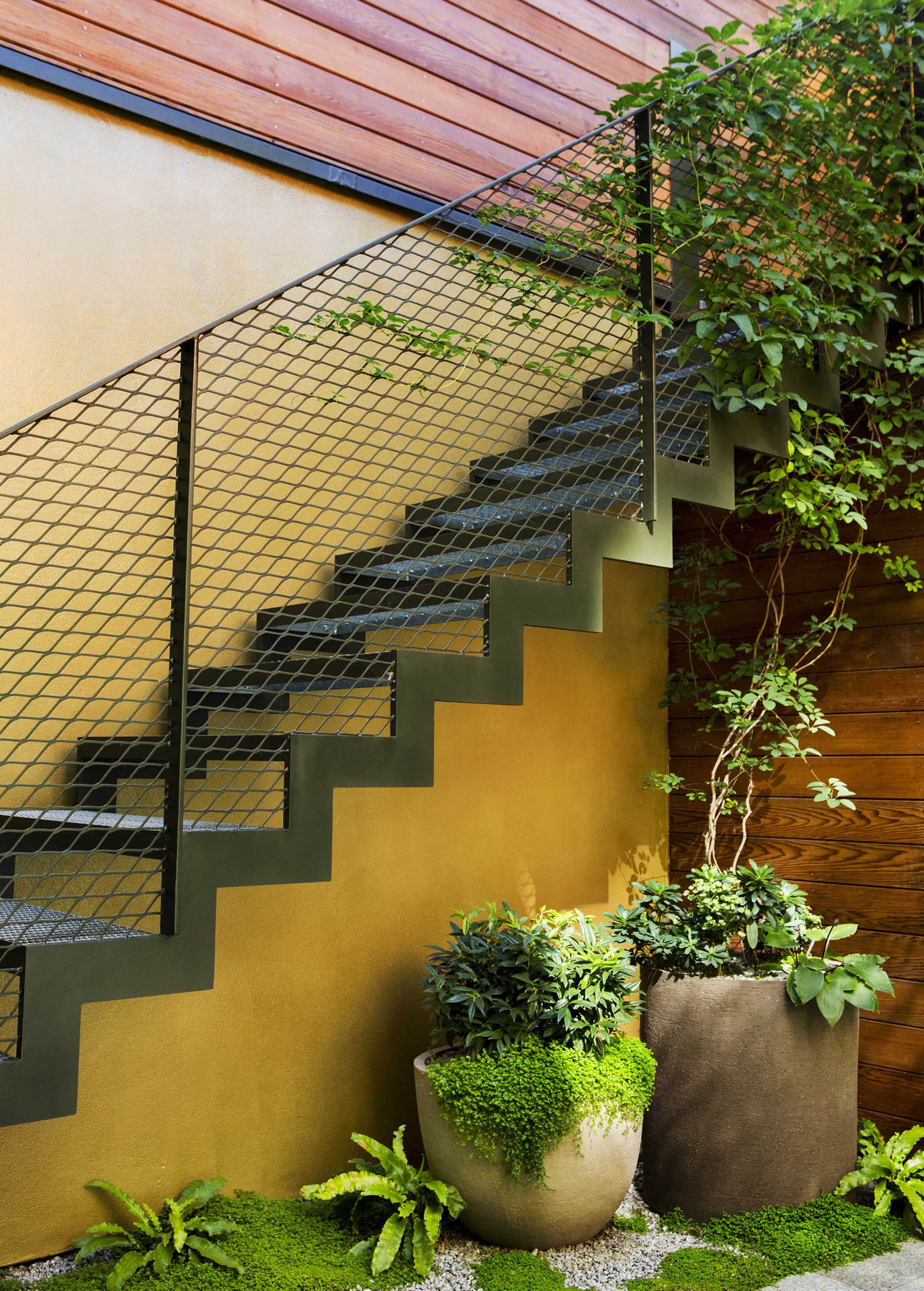 Peacock Place Garden