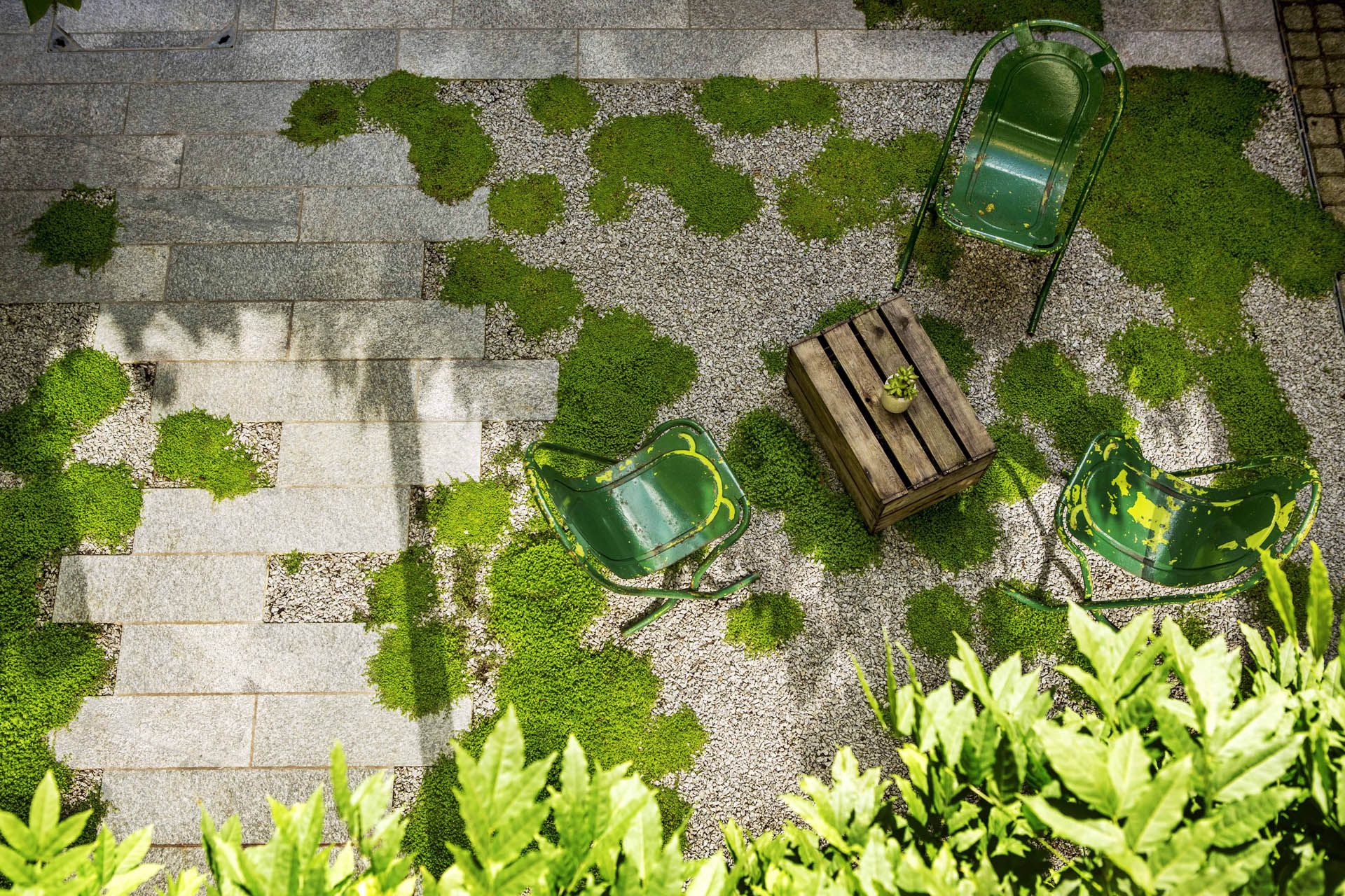 Peacock Place Garden, gardeners twickenham