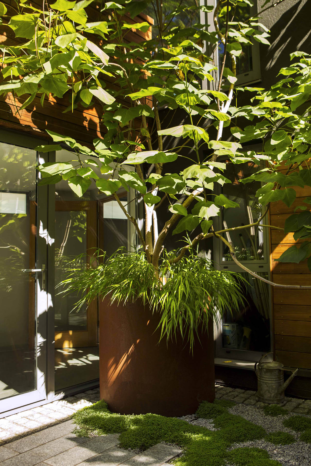 Peacock Place Garden