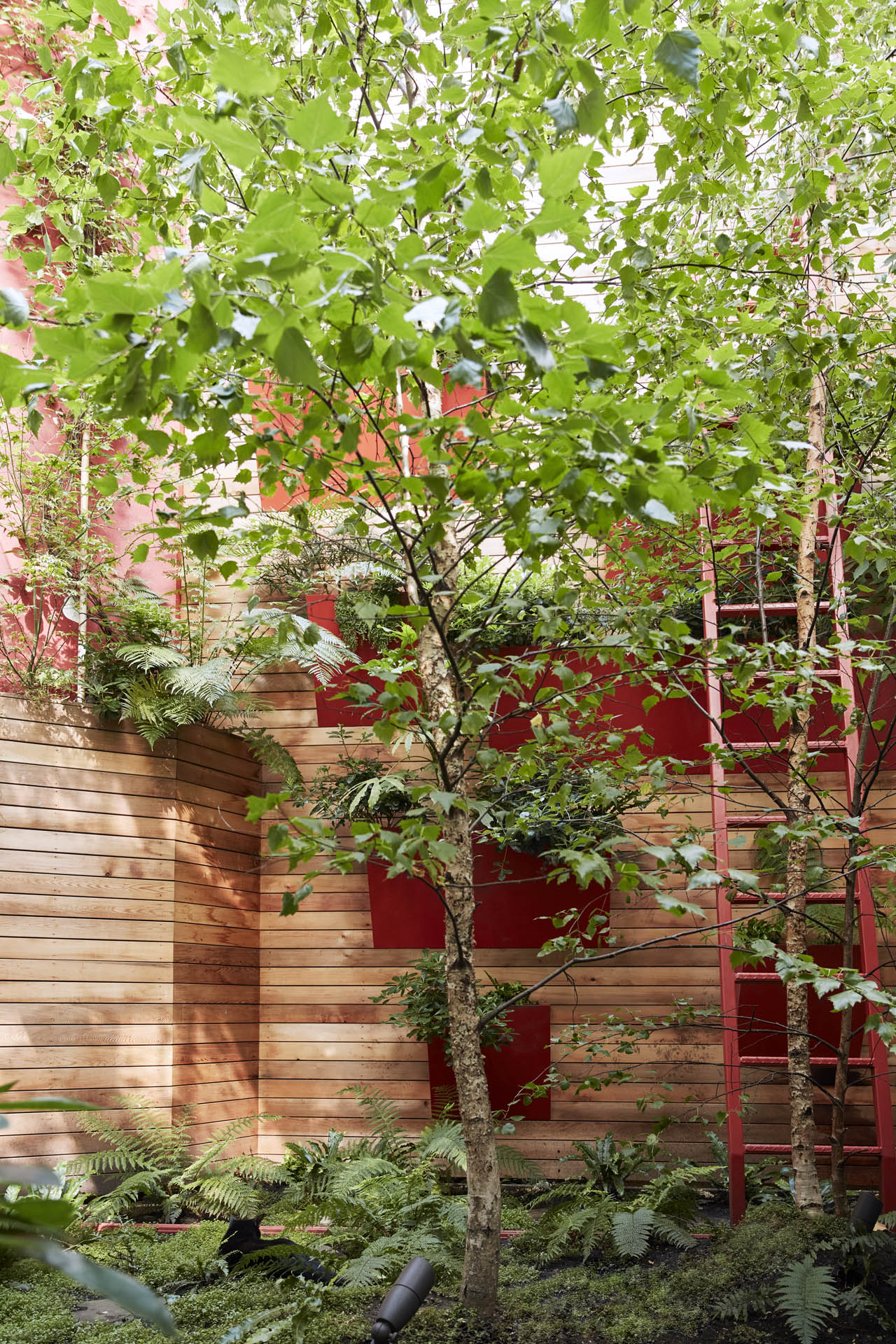 Islington Garden Design