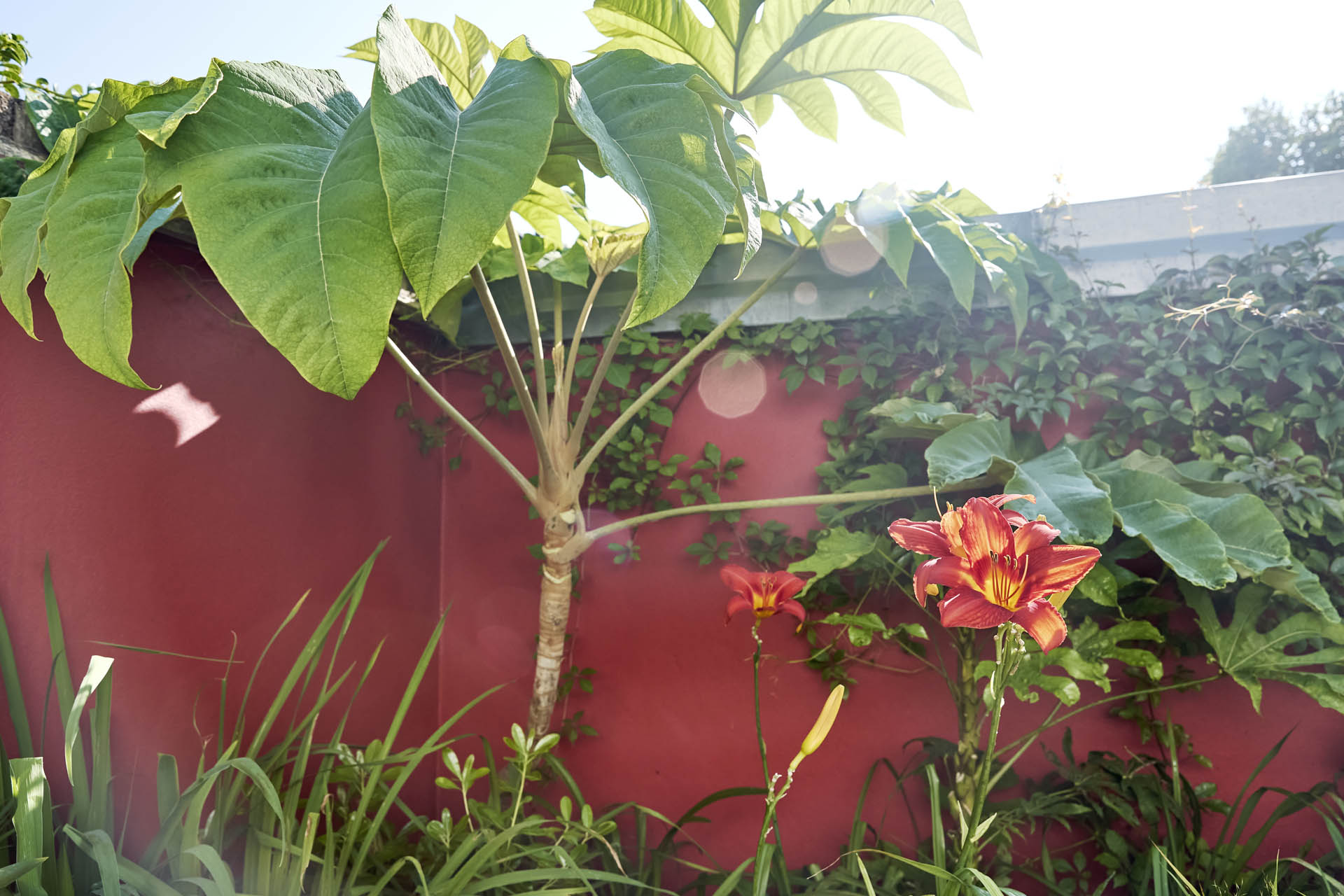 Islington Garden Design