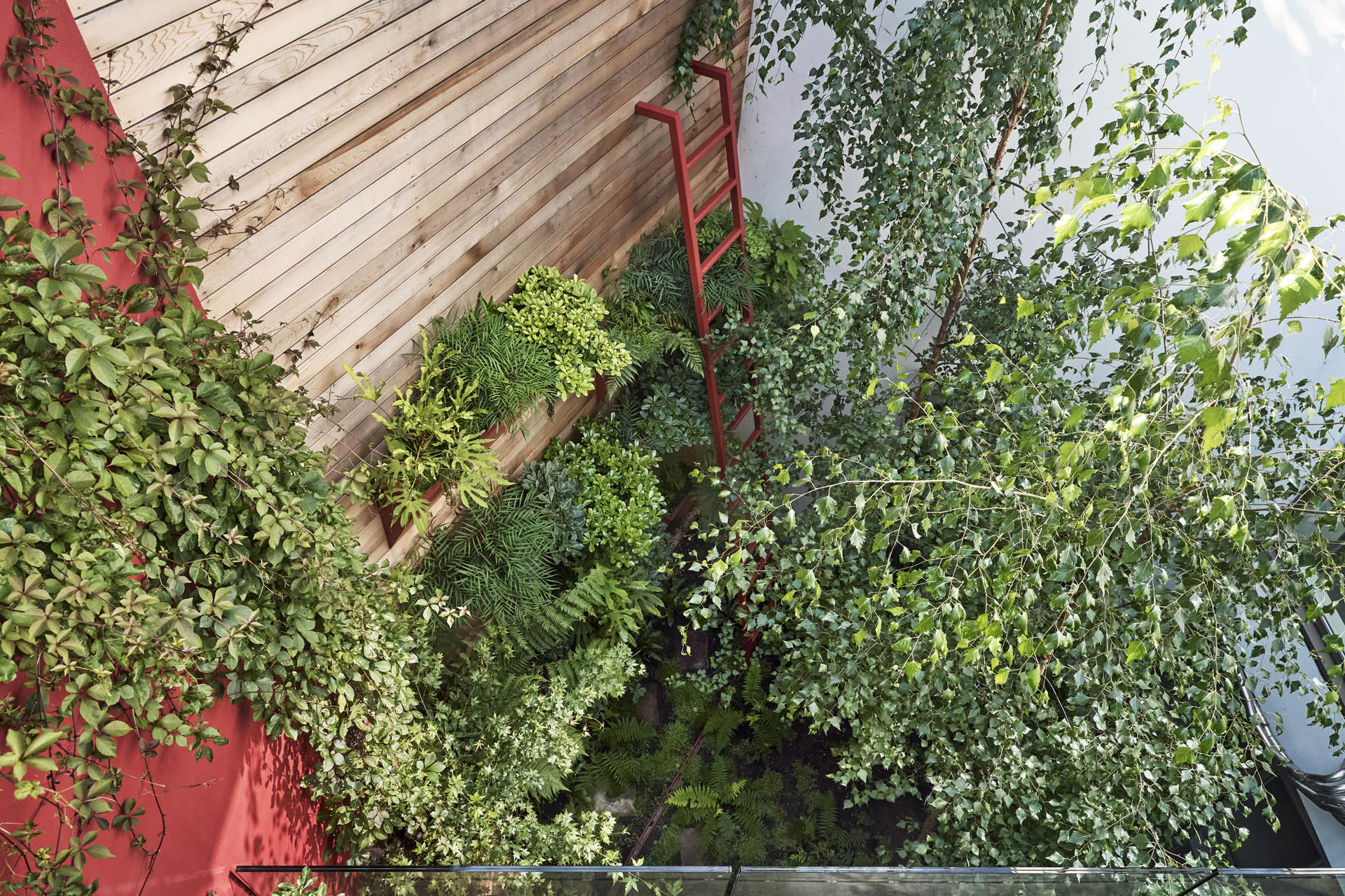 Islington Garden Design