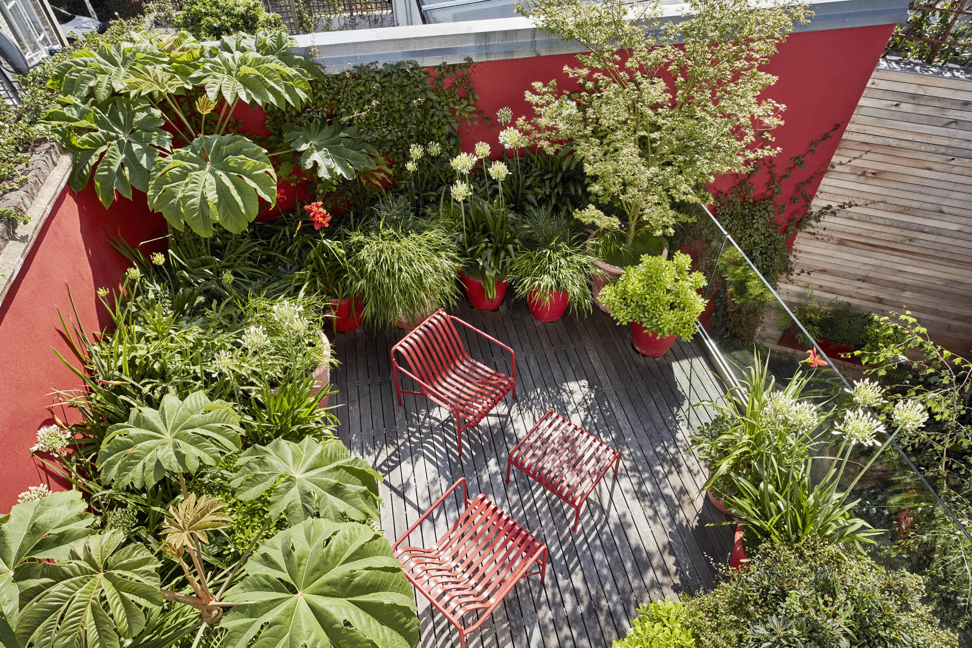 Islington Garden Design