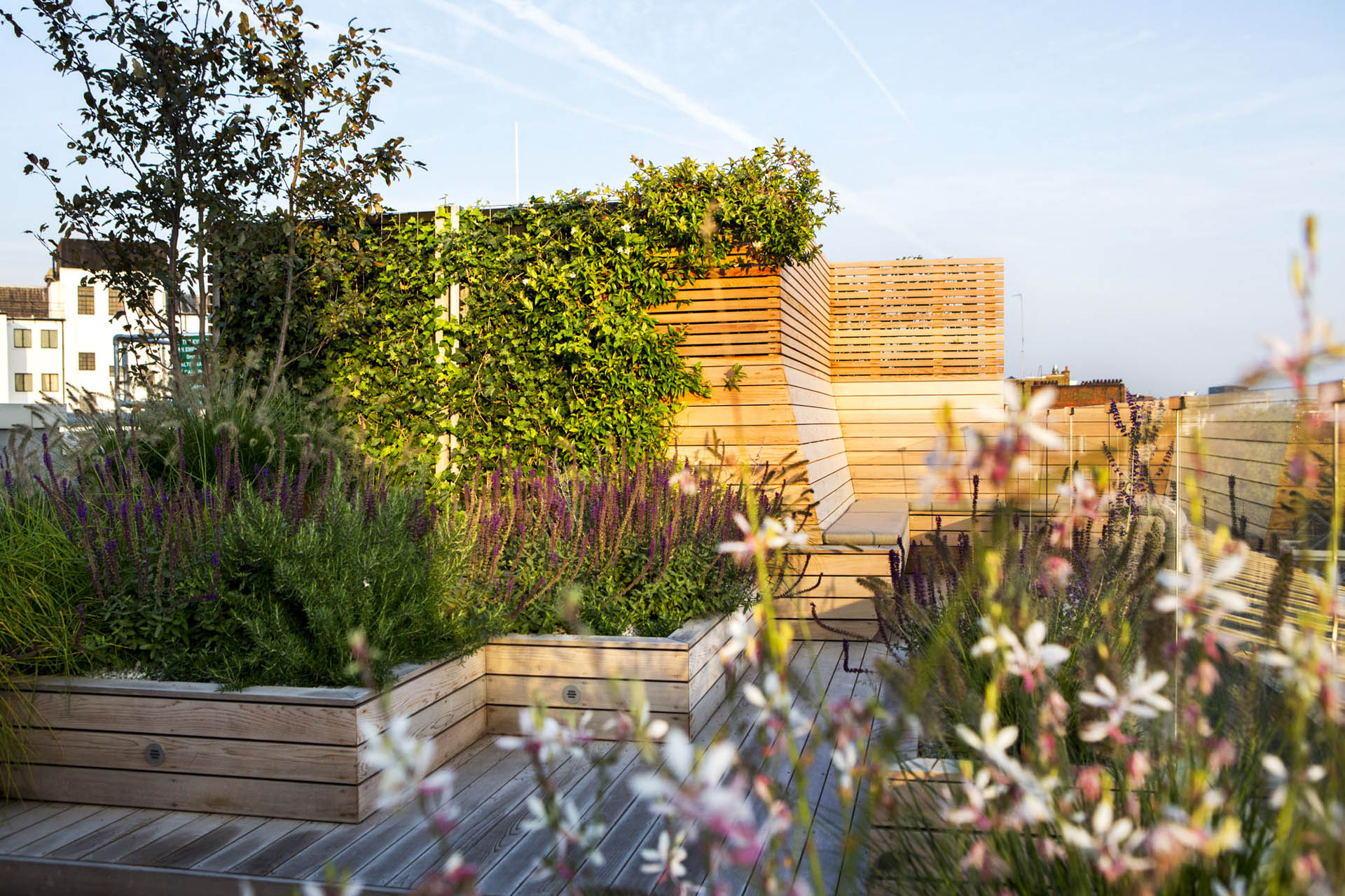 Regent’s Park Garden Design - Gardeners Westminster