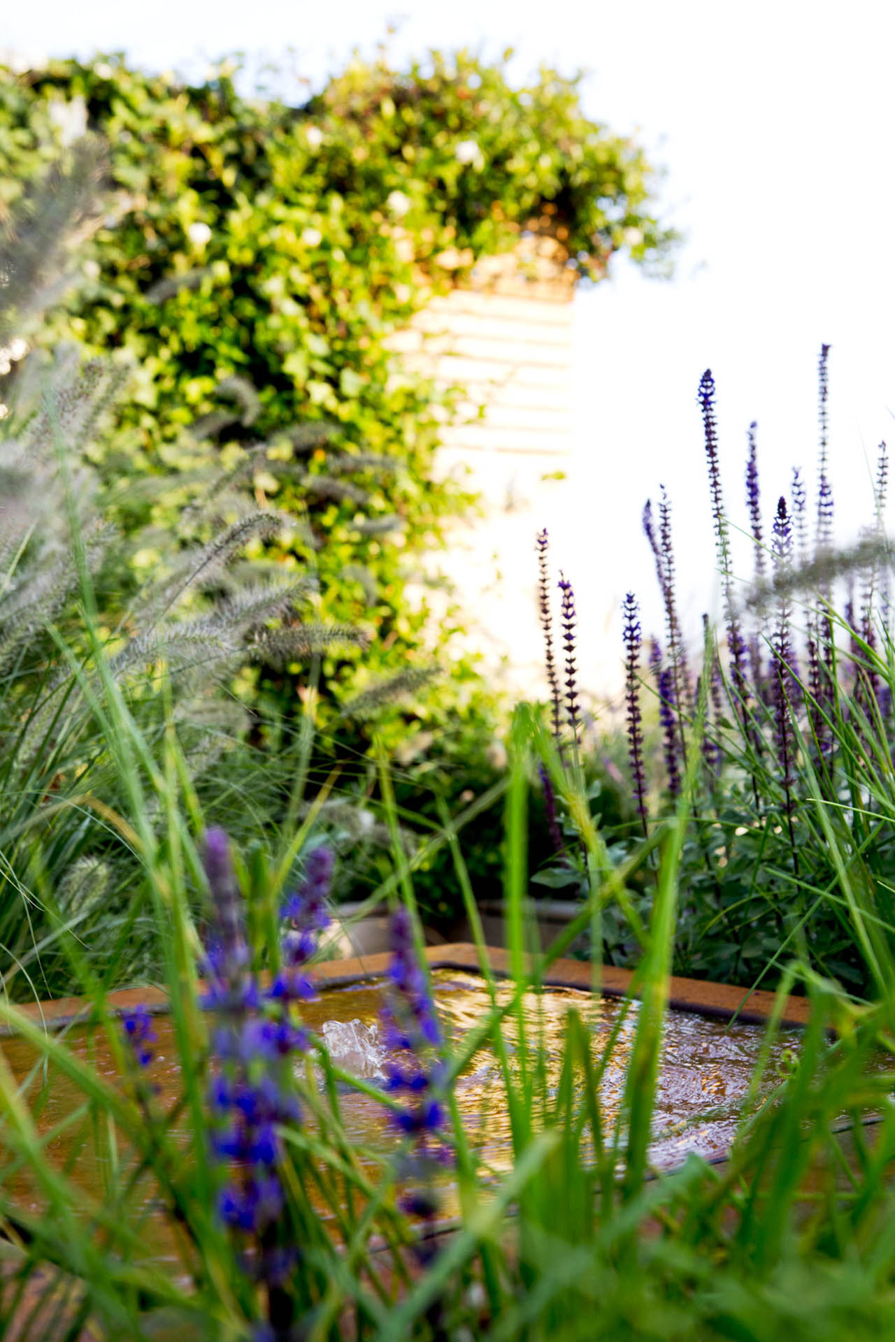 Regent’s Park Garden Design
