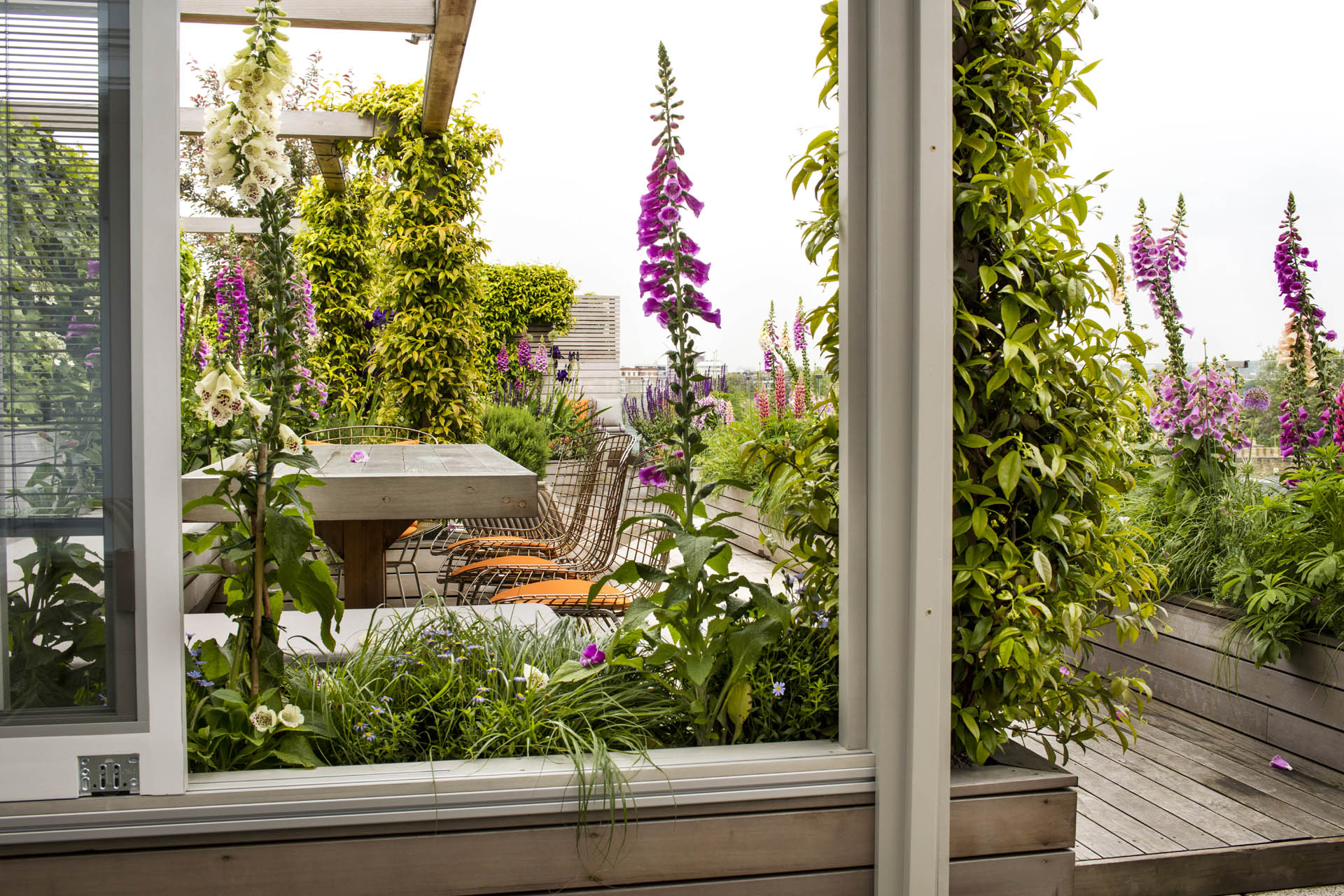 Regent’s Park Garden Design