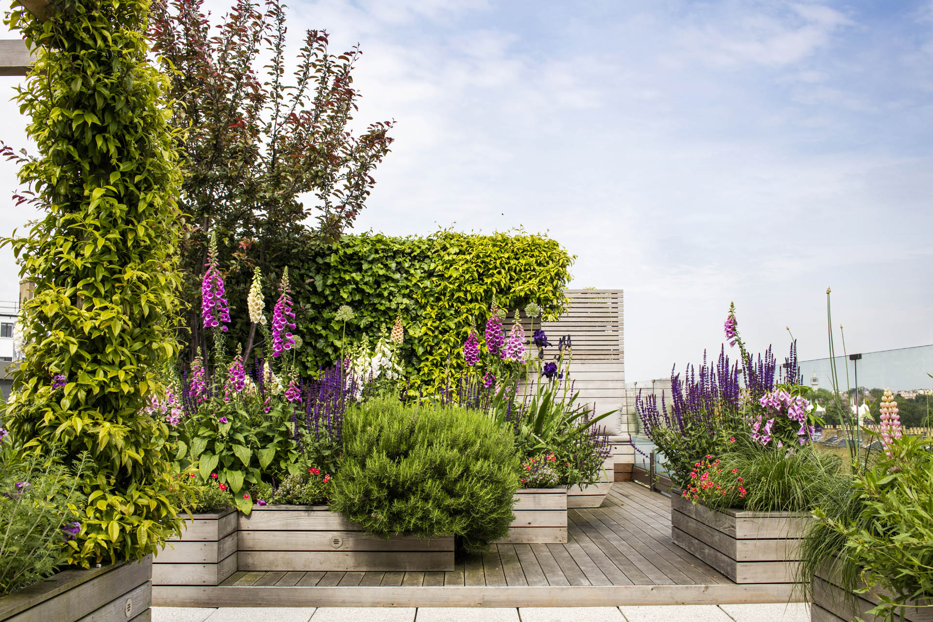 Regent’s Park Garden Design