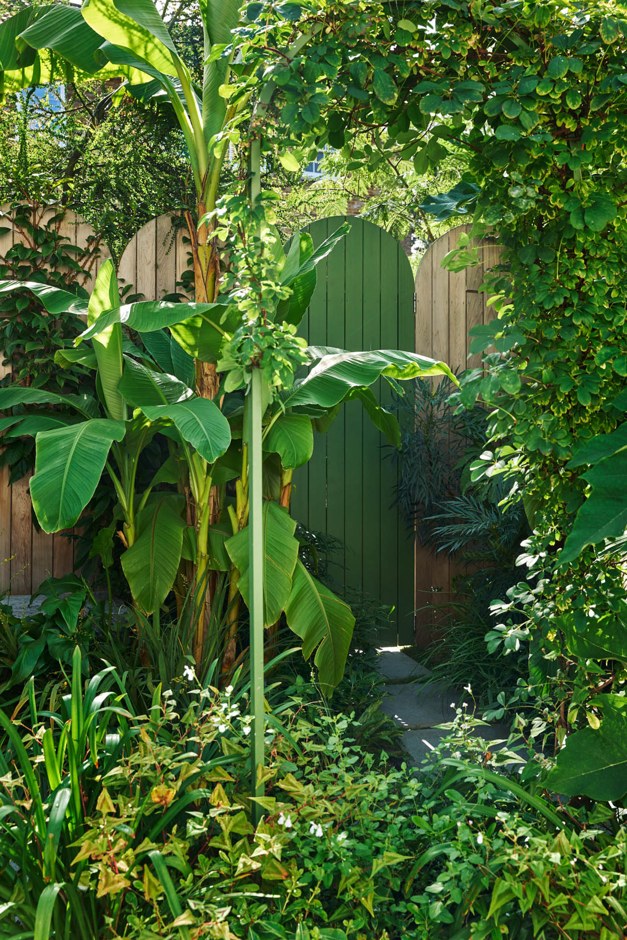 Dalston Garden Design