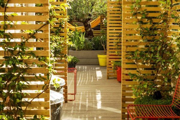 Durant St garden Aug'16