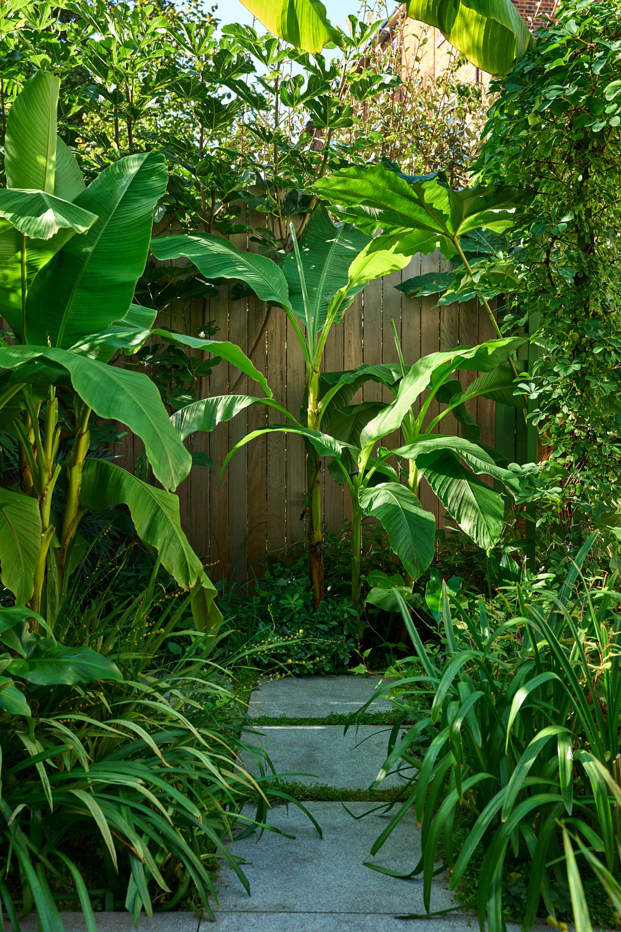 Creating a Hardy Tropical Garden