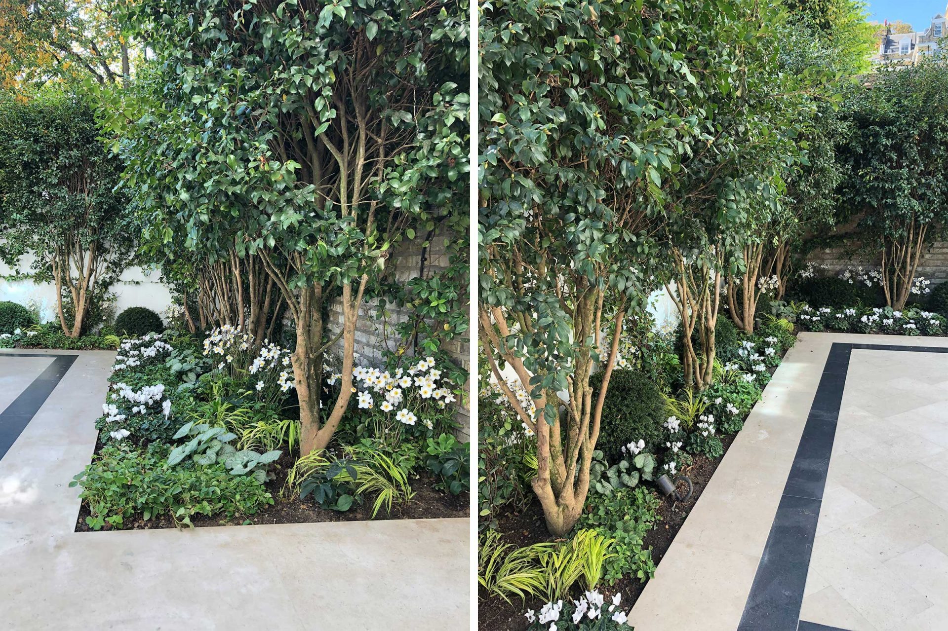 Green bushes and white flowers