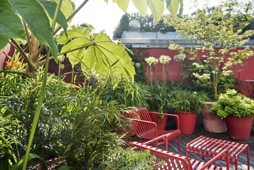 Islington Garden Design - what does garden maintenance include