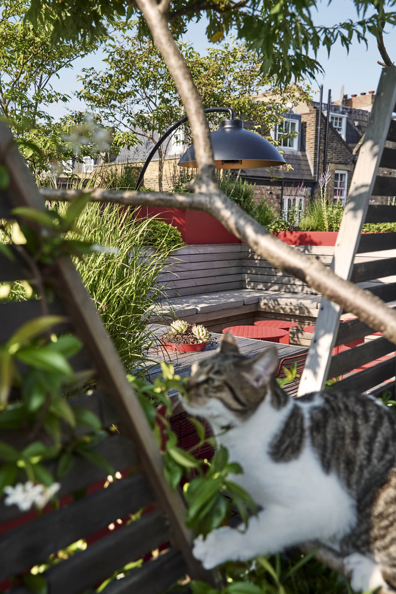 Islington Garden Design