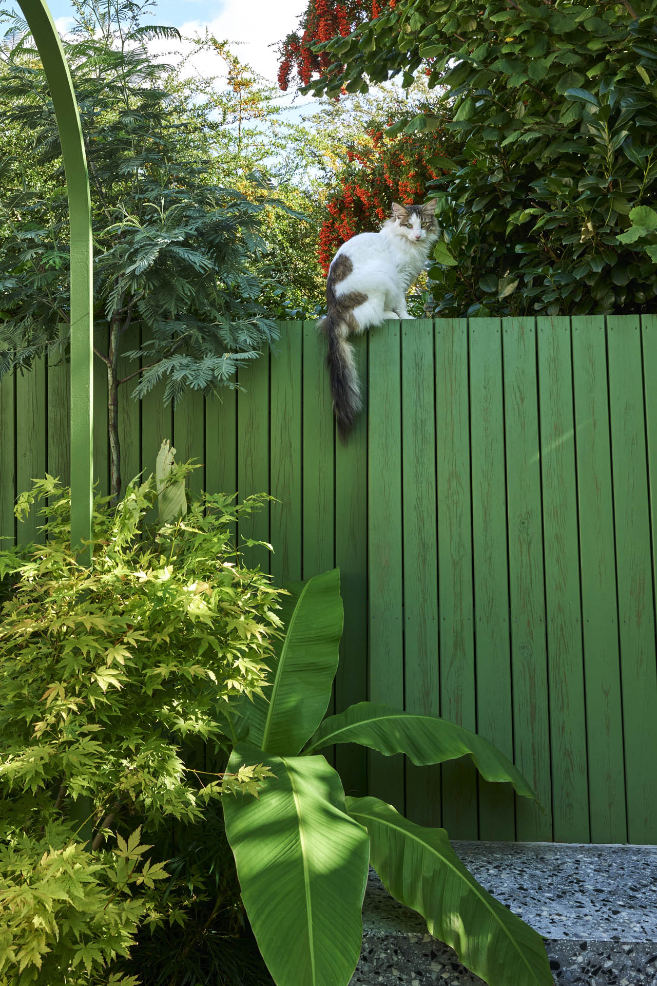 Dalston Garden Design