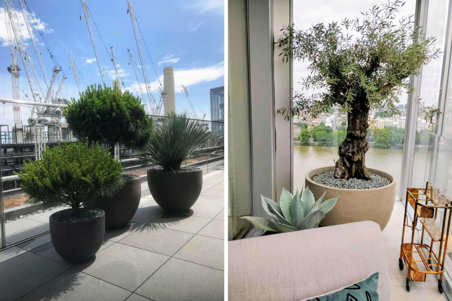 large scale plant installation